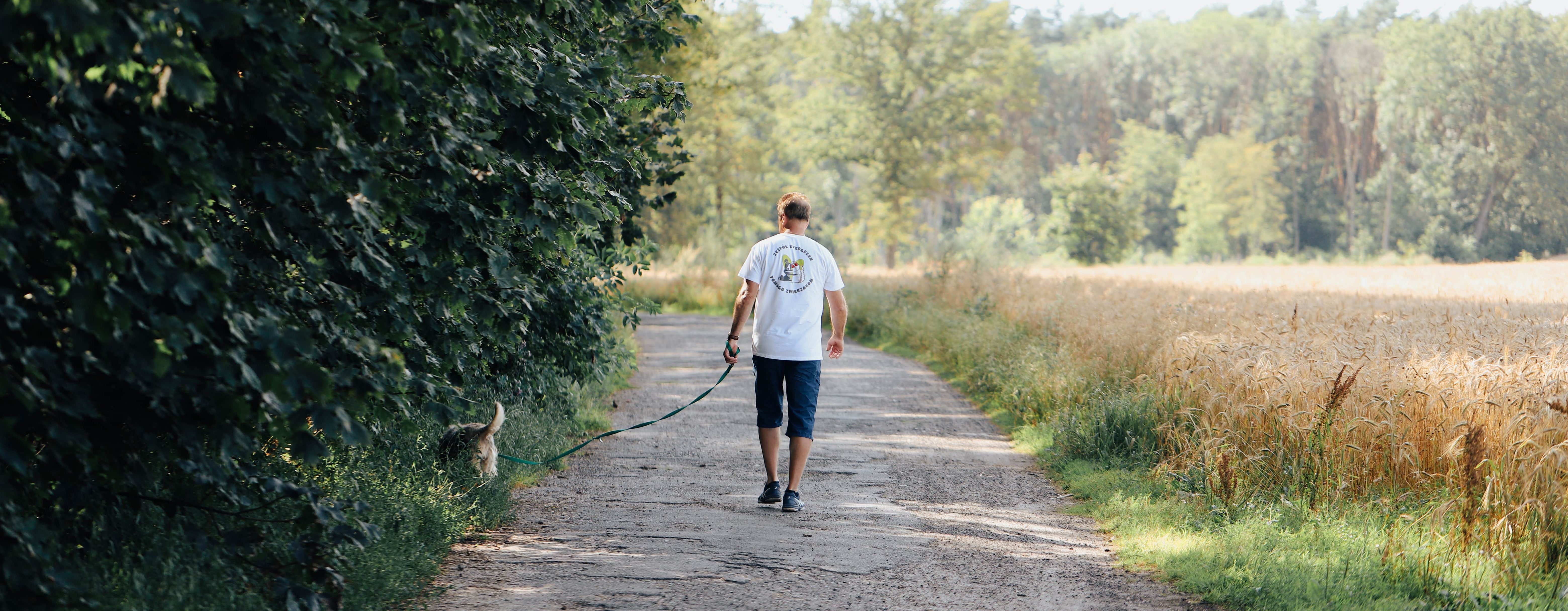 Pomagamy zwierzętom