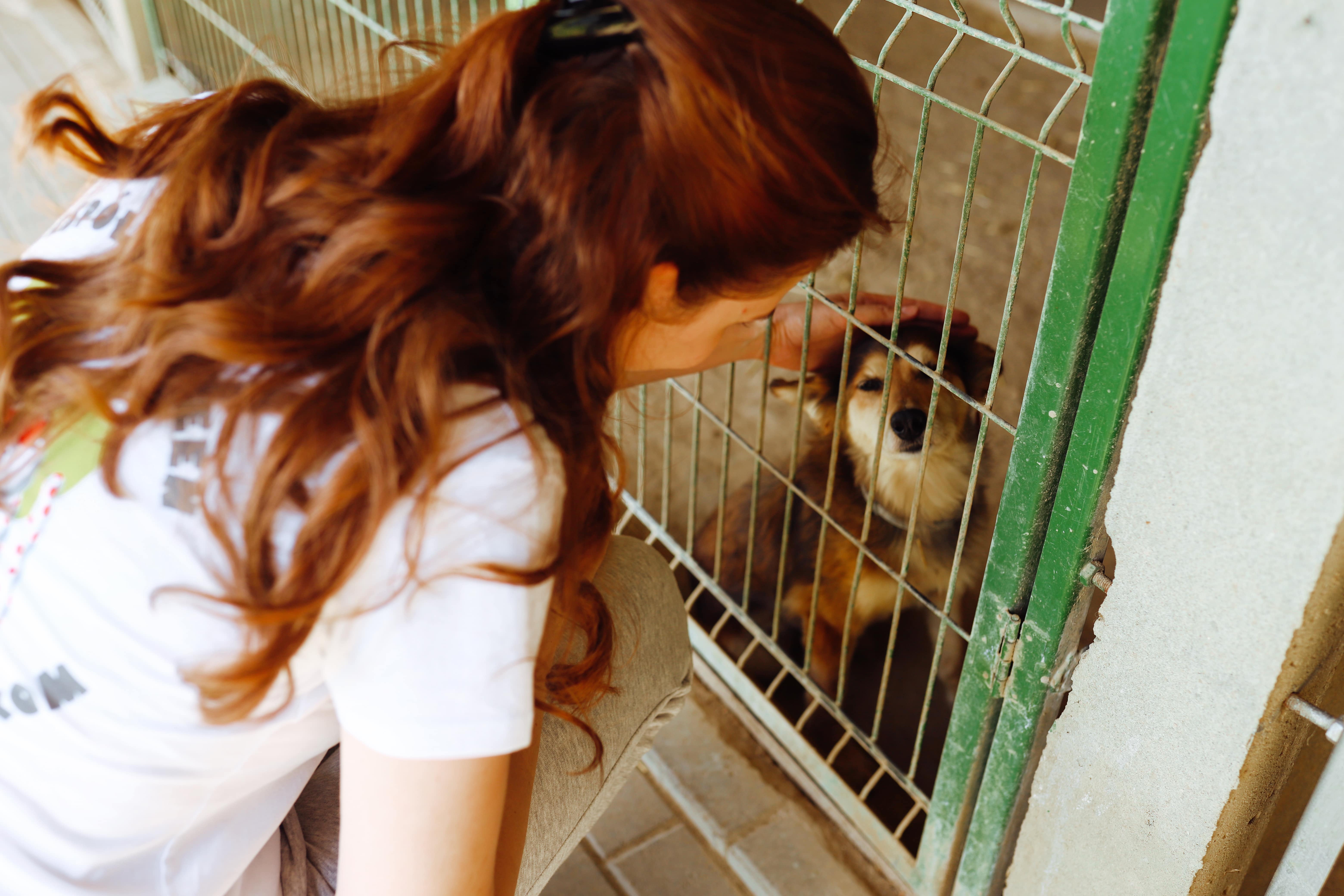 Zielona oaza dla naszych czworonogich przyjacieli