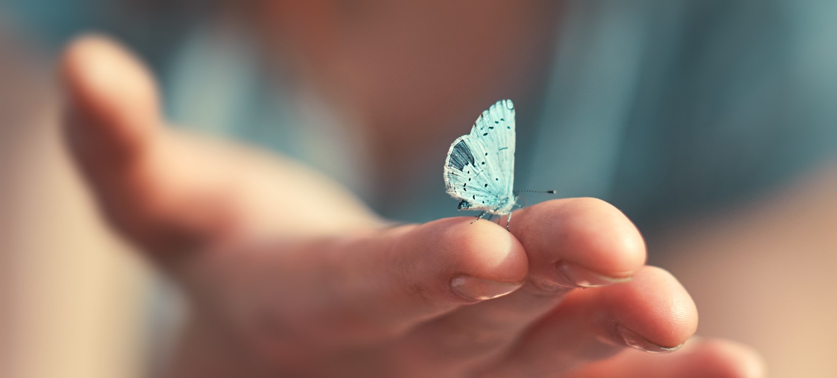 Notre histoire de développement durable