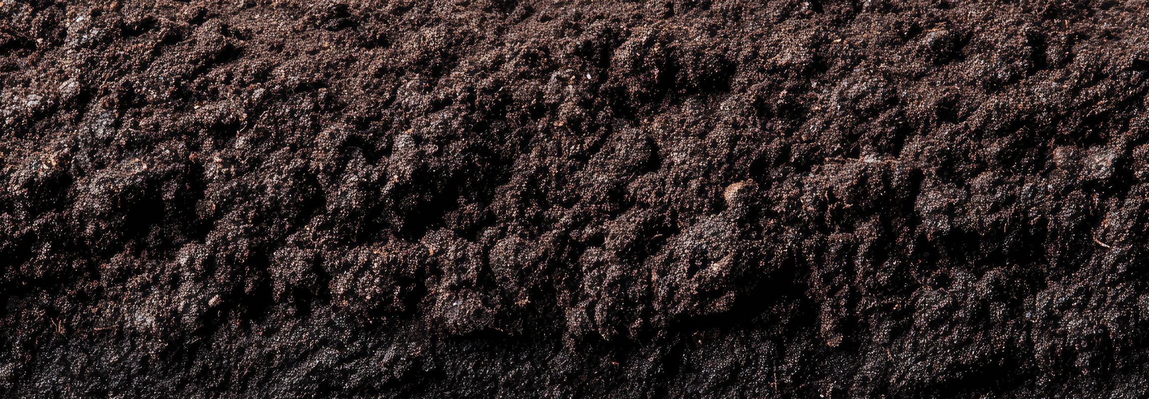 Soil Science Masterclass