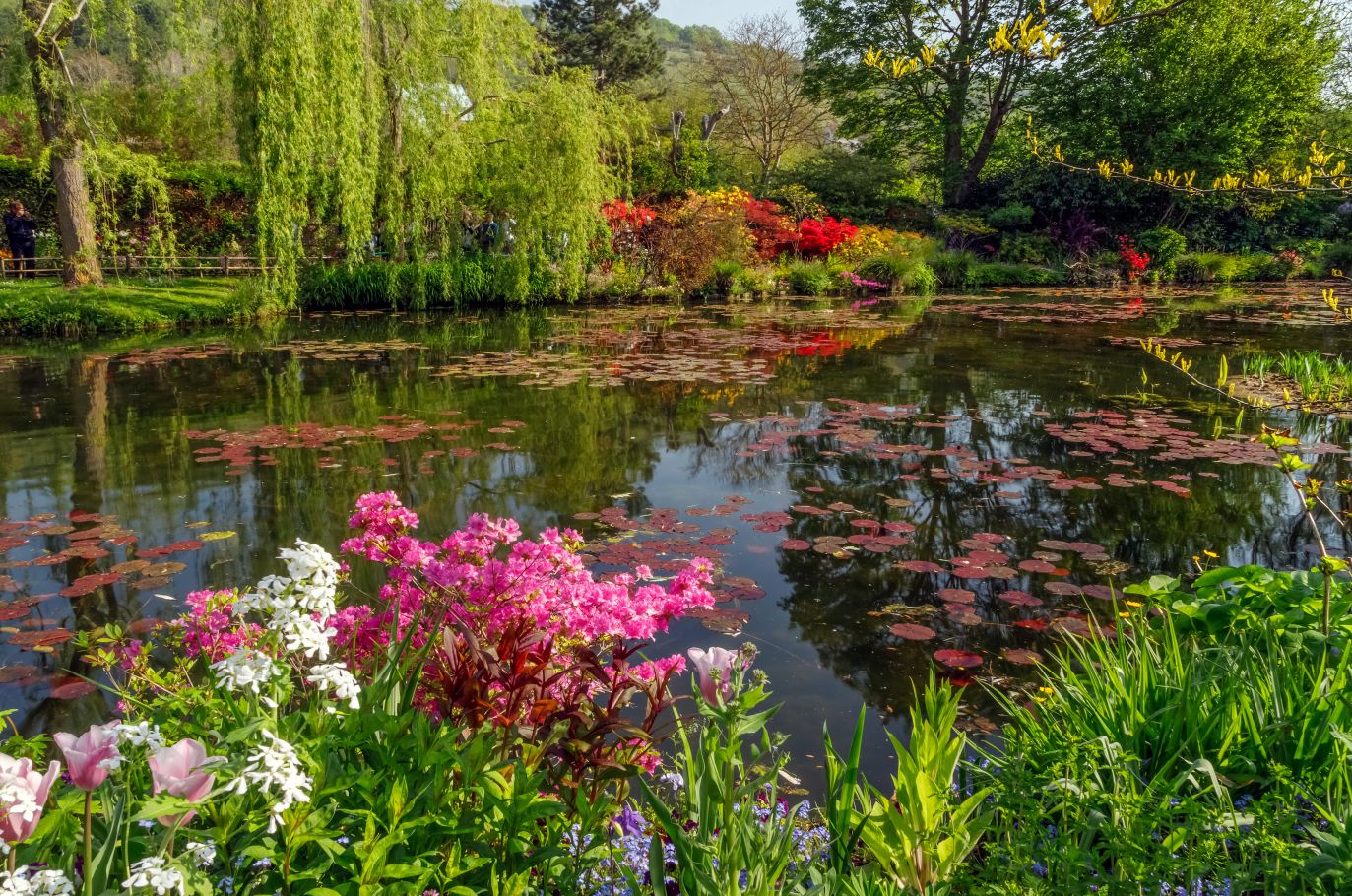 Fondation Claude Monet