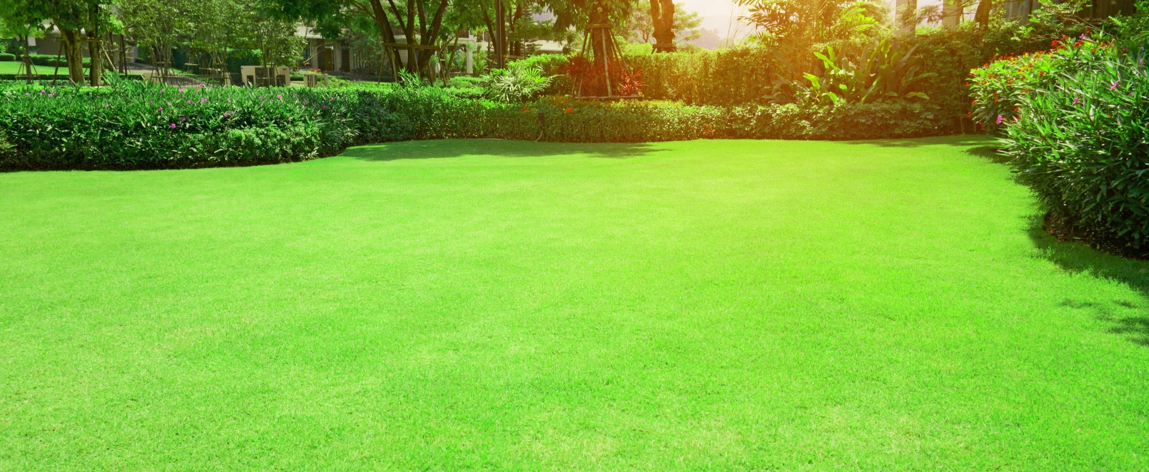 Ogród z gęstym trawnikiem