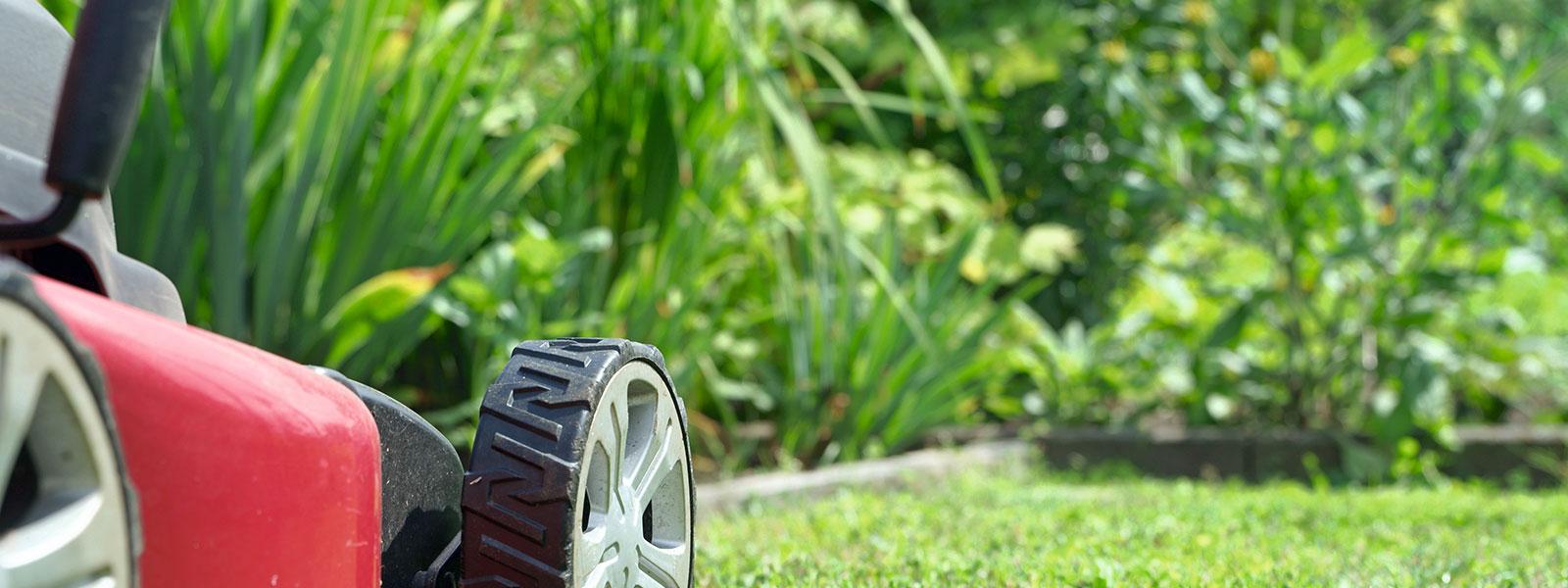 Plænepleje om efteråret