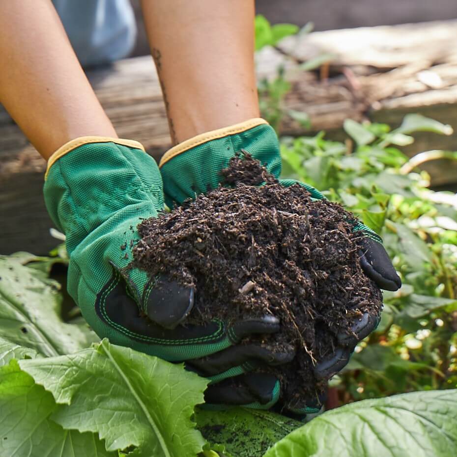 Potting mix