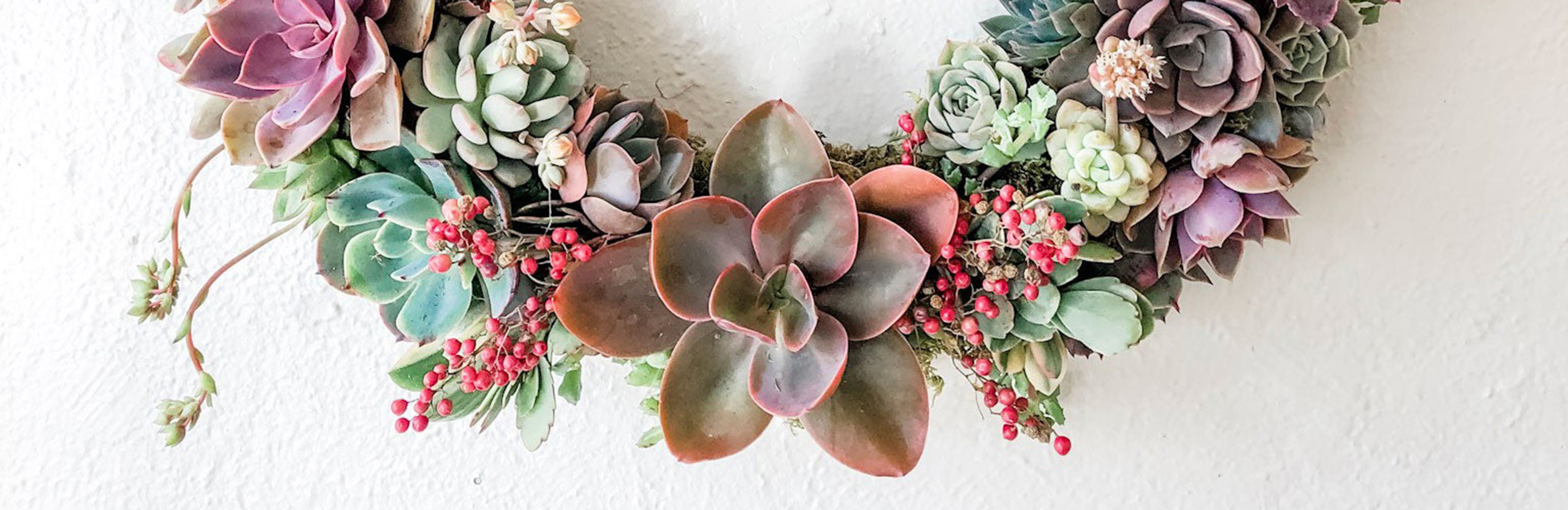 Christmas Succulent Wreath