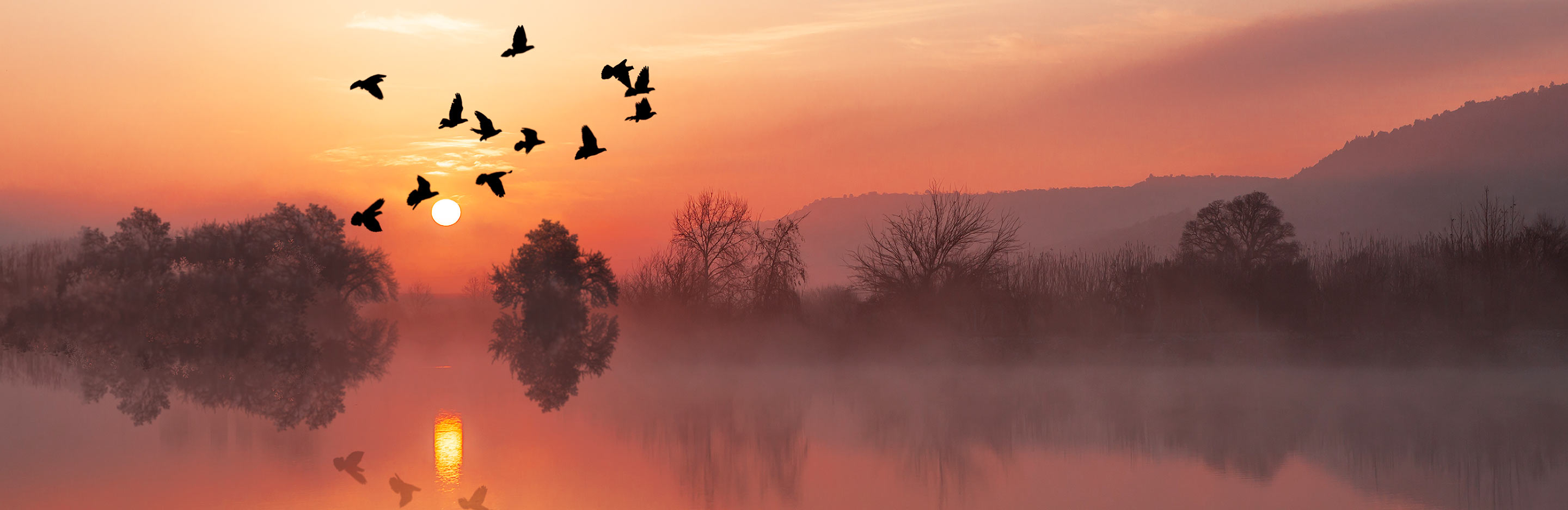 Get ready for Autumnwatch