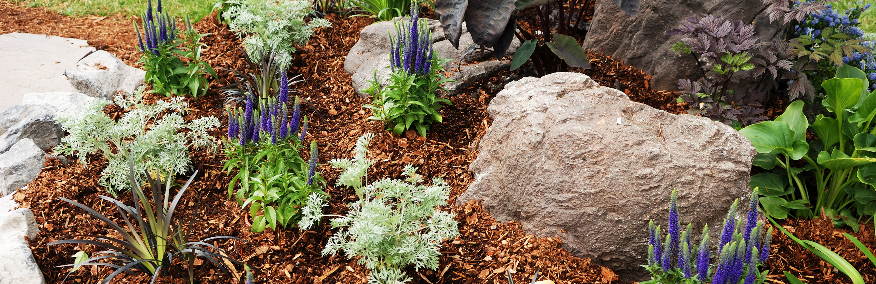 Finish your garden with decorative bark | Love The Garden