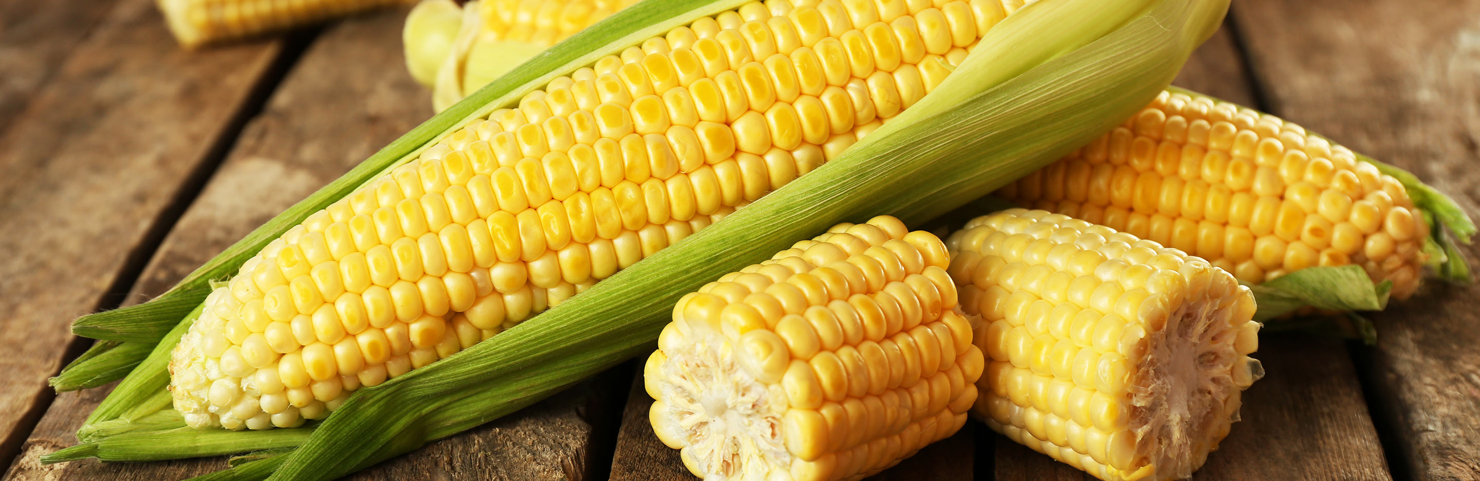How to grow corn