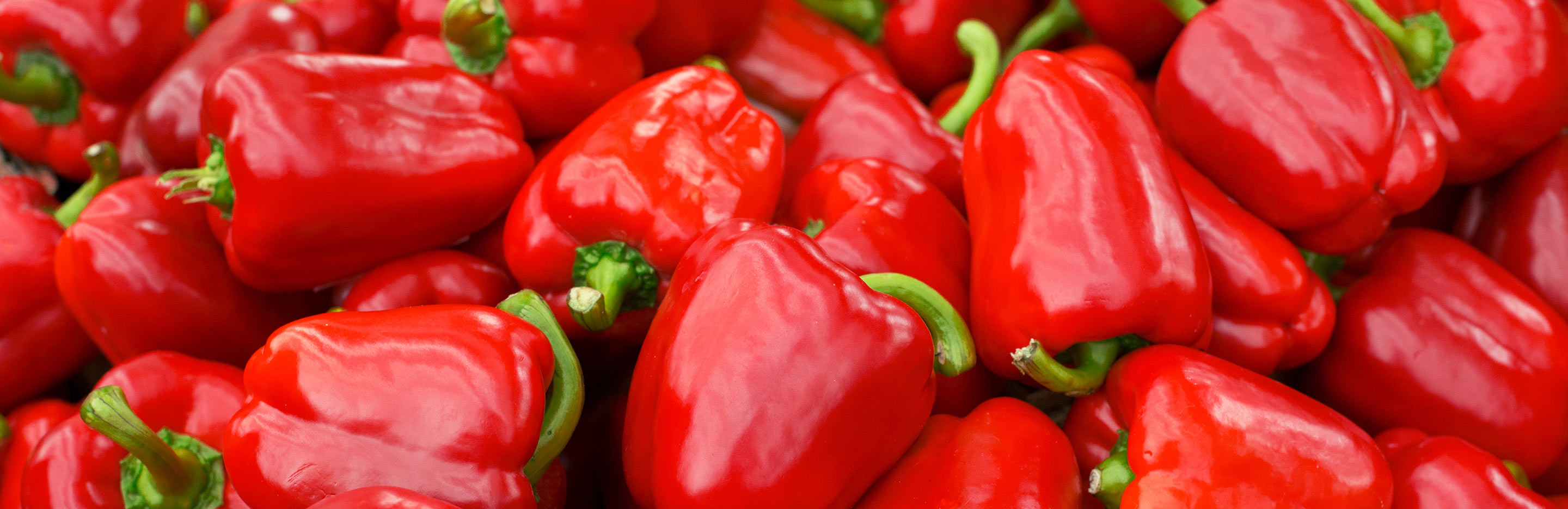 How to grow peppers