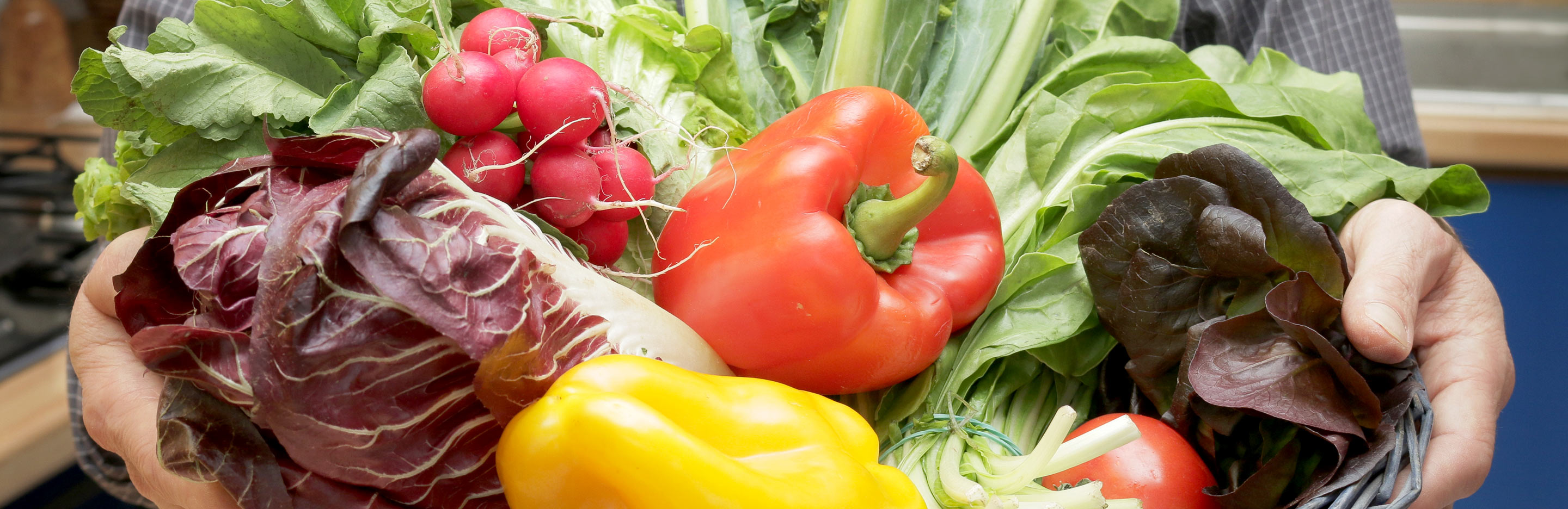 Where to plant fruit and vegetables in the garden