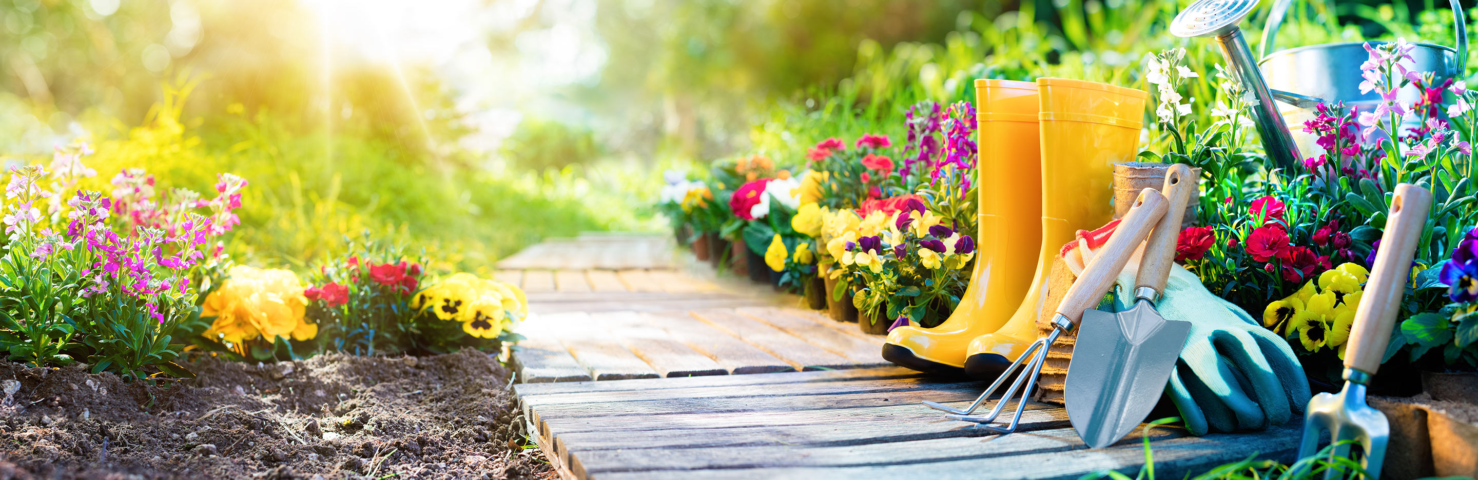 Le Kit Du Bon Jardinier