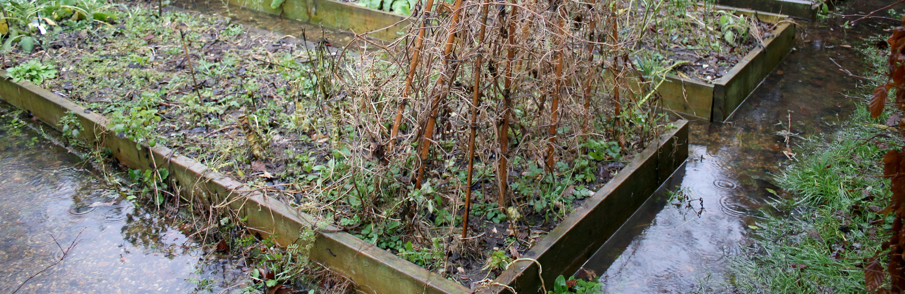 Flooding and waterlogging