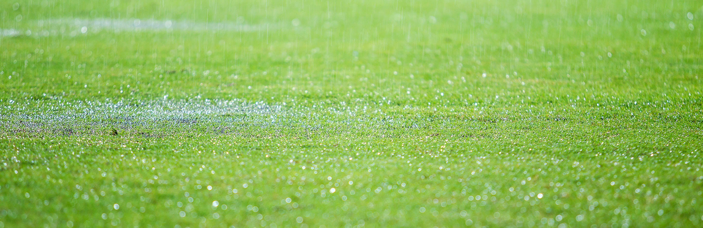 Garden drainage - prevent waterlogging with this useful guide