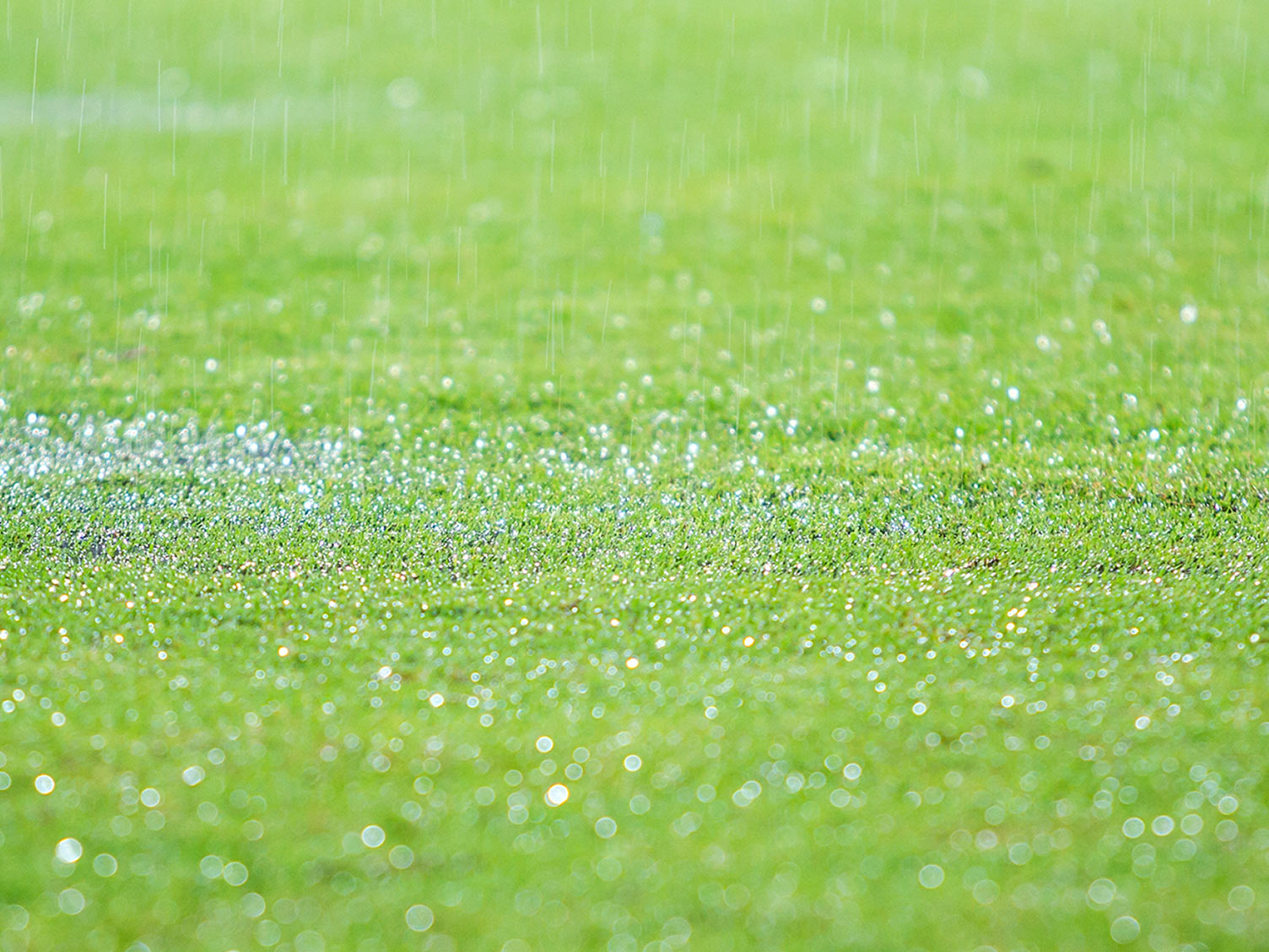 Garden flooding and waterlogging Love The Garden