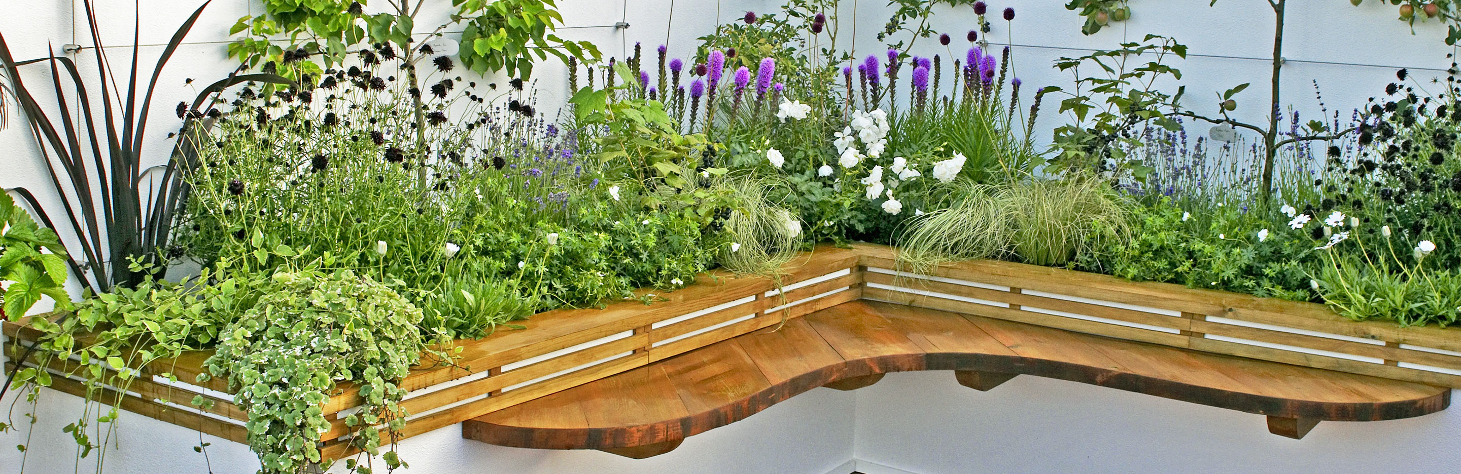 Which shrubs to grow in raised beds