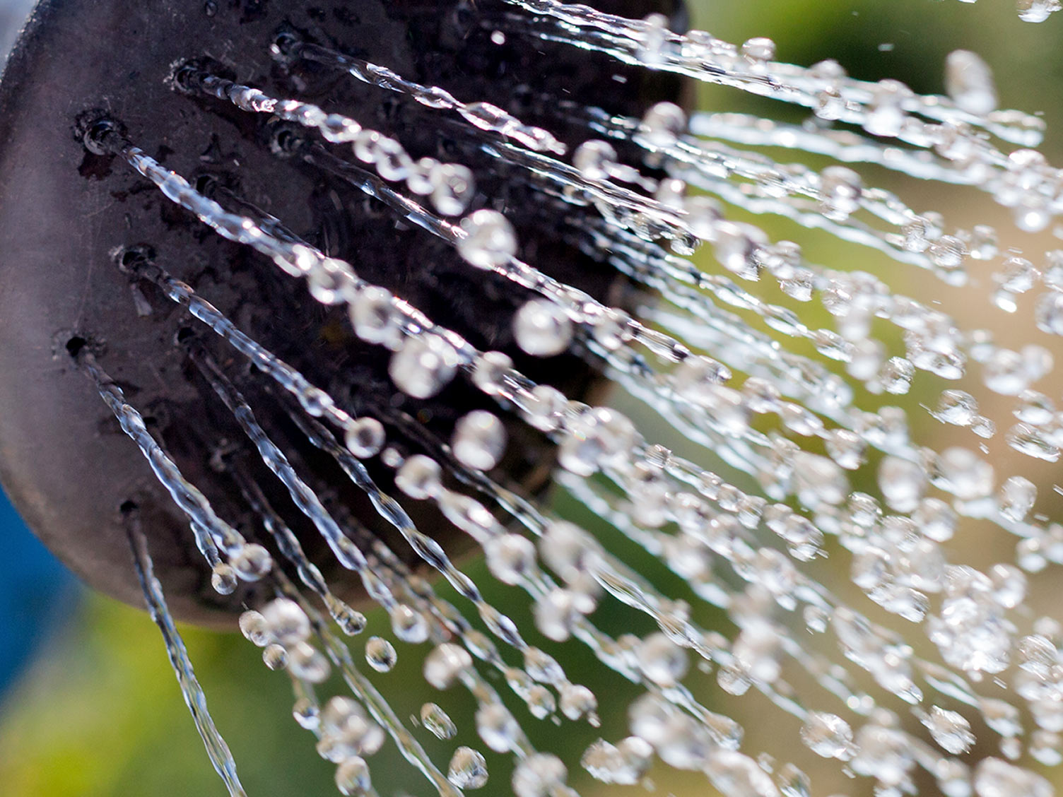 A guide to 'water smart' gardening Love The Garden