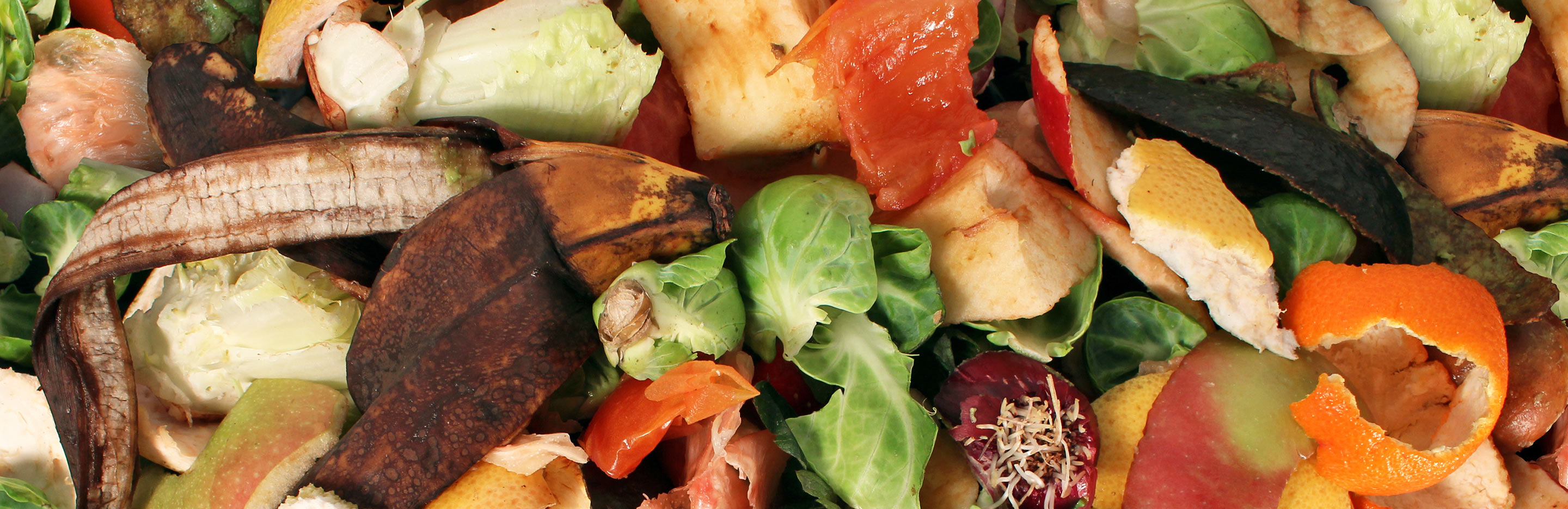 Making compost for your garden