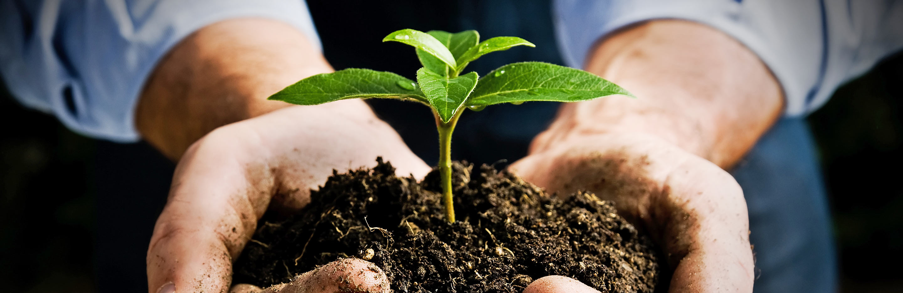 What nutrients do plants need?