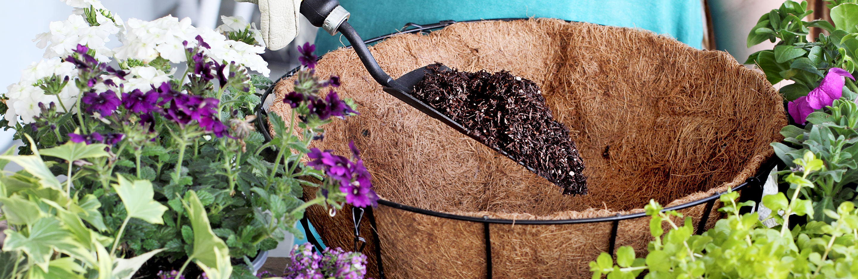 A trowel of soil being put into a hanging basket.