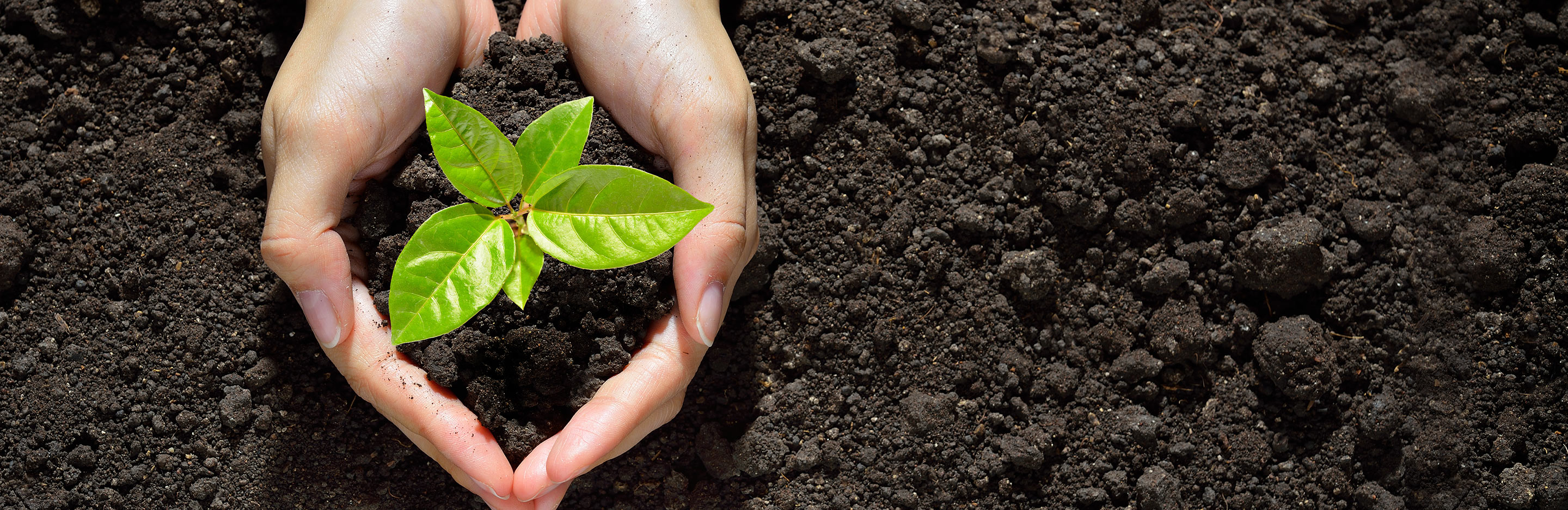 Growing on small plants