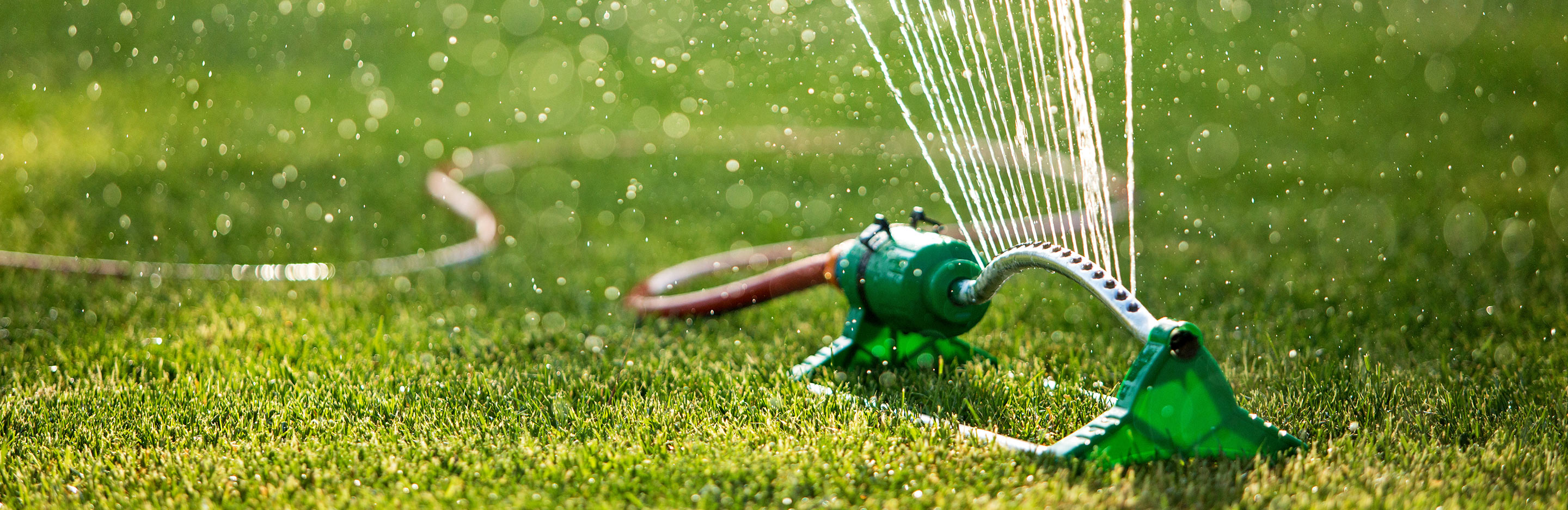 How to water a lawn