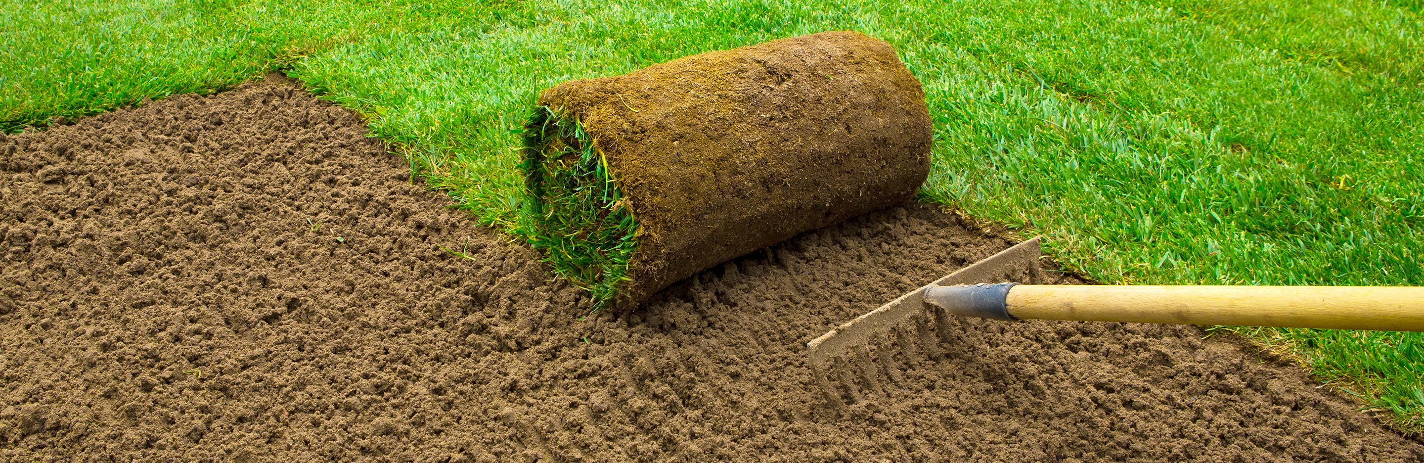 Lawn Care Calendar - Gardening tips