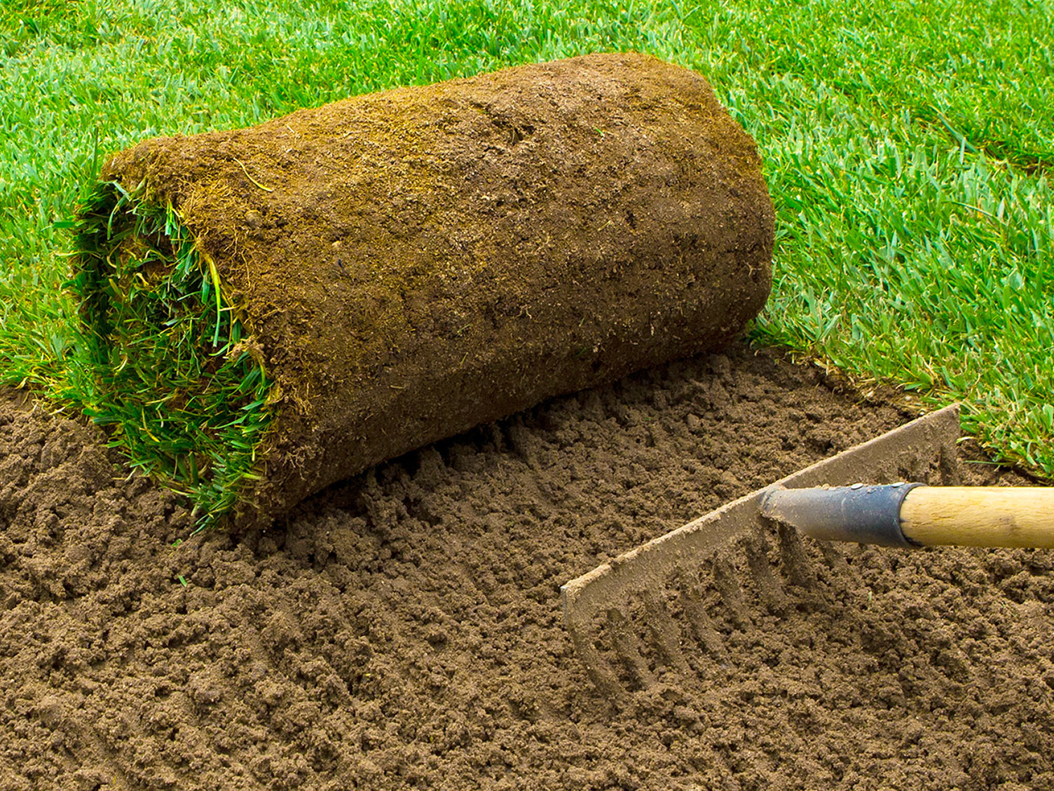 Lawn Care Calendar - Gardening tips | Love the Garden