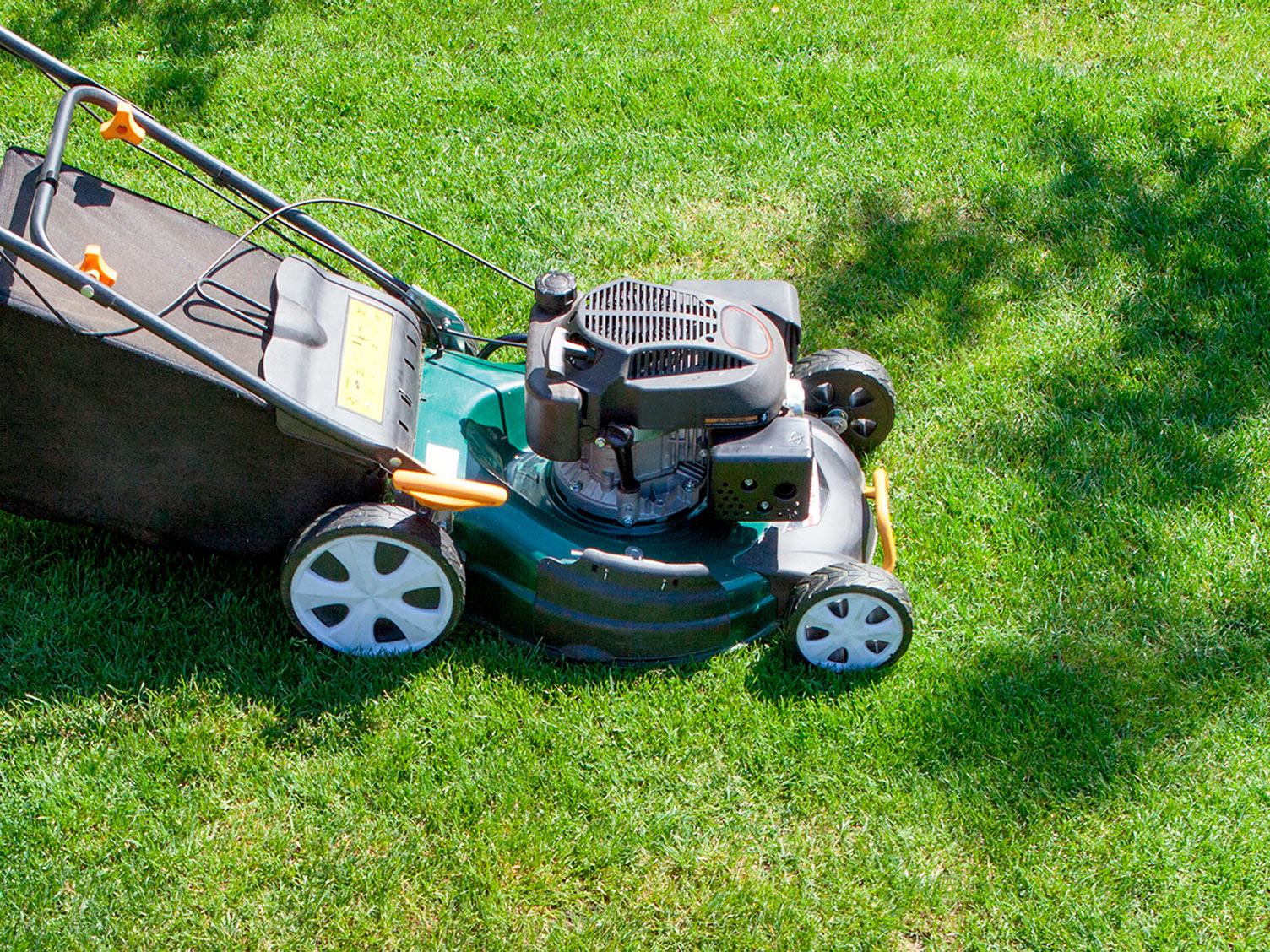 A guide to spring lawn feeding and care | Love The Garden