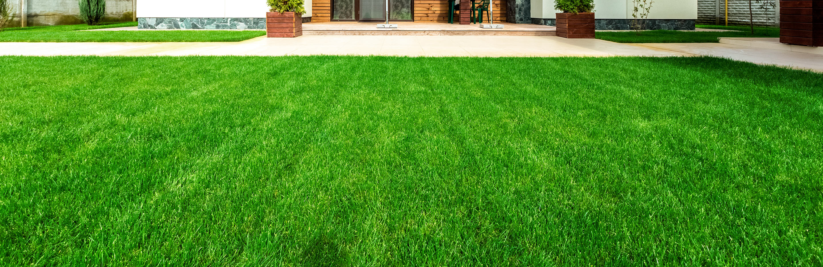 Top dressing a lawn: how and why