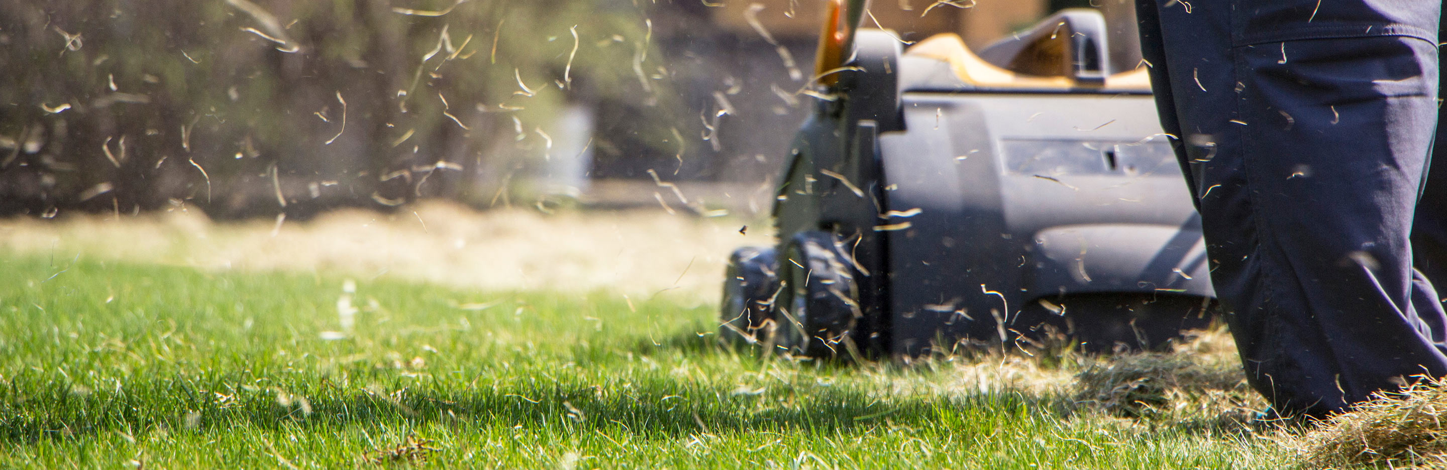 What a lawn scarifier is and how to use it