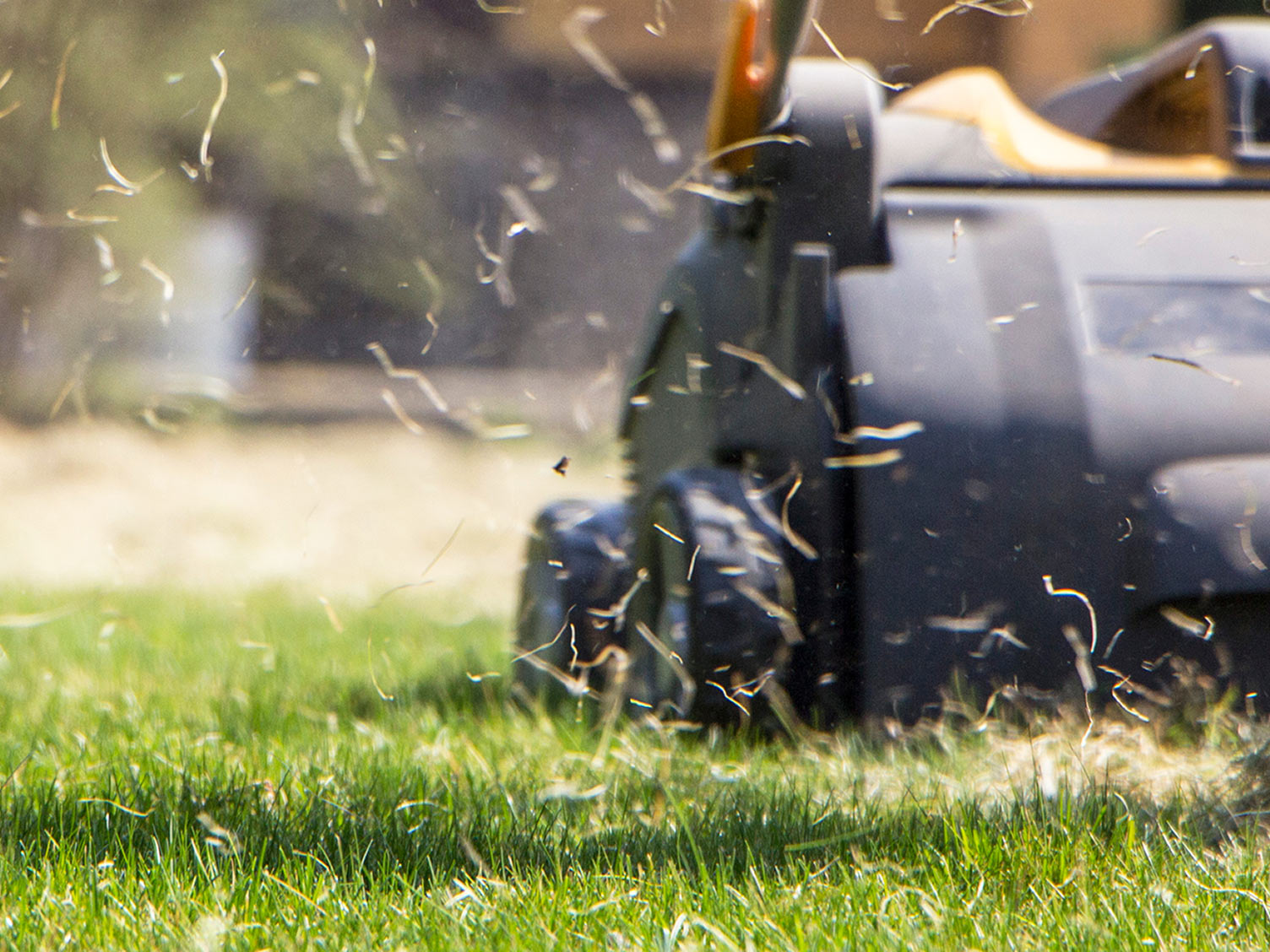 What a lawn scarifier is and how to use It | Love The Garden