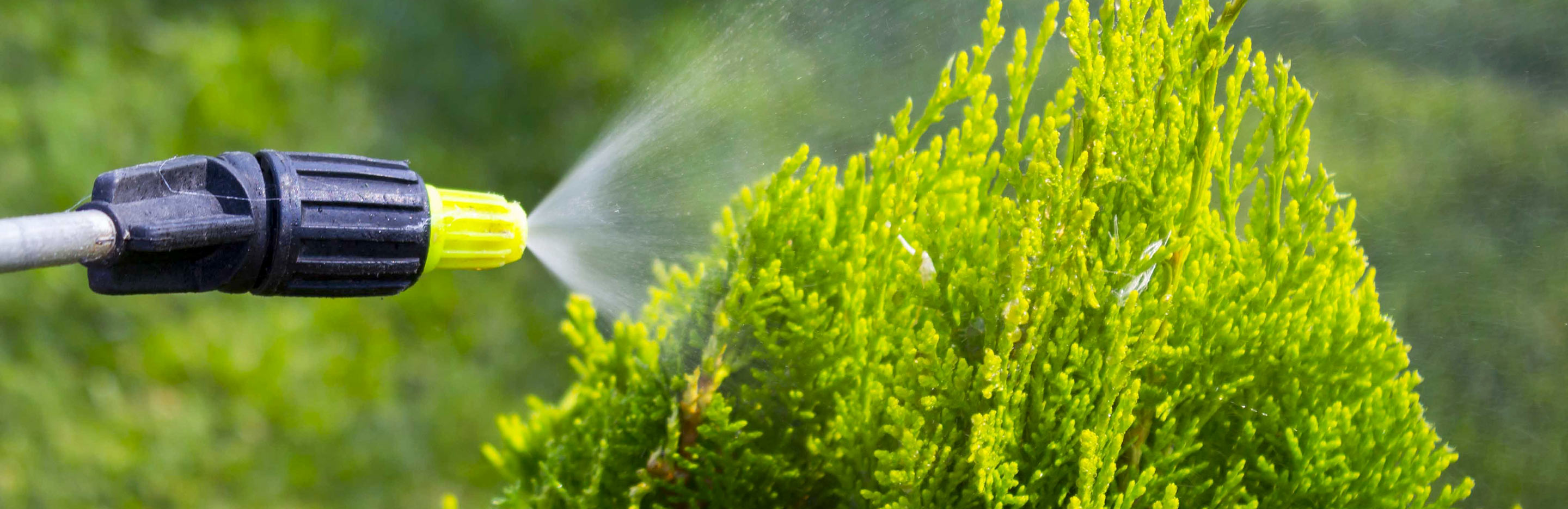 Pesticide usage, storage and disposal