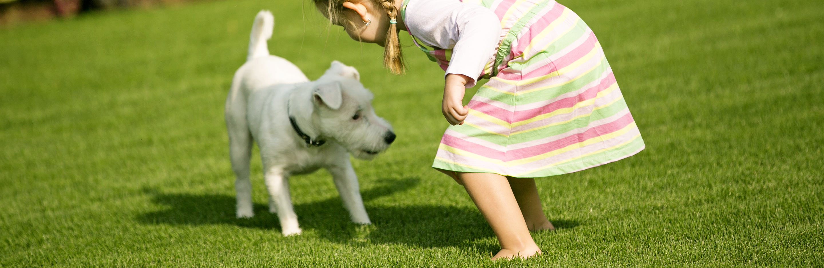 Pesticides and children, pets and wildlife