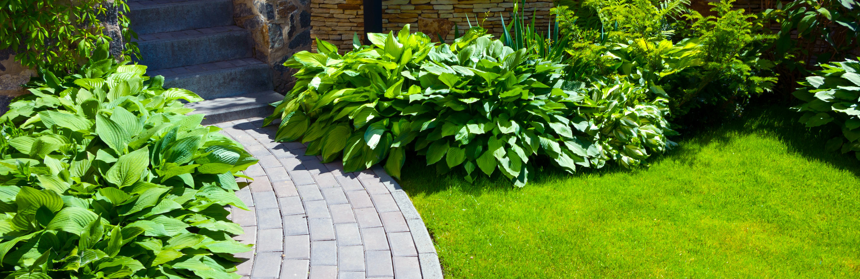 Get rid of weeds with Weedol Rootkill Plus