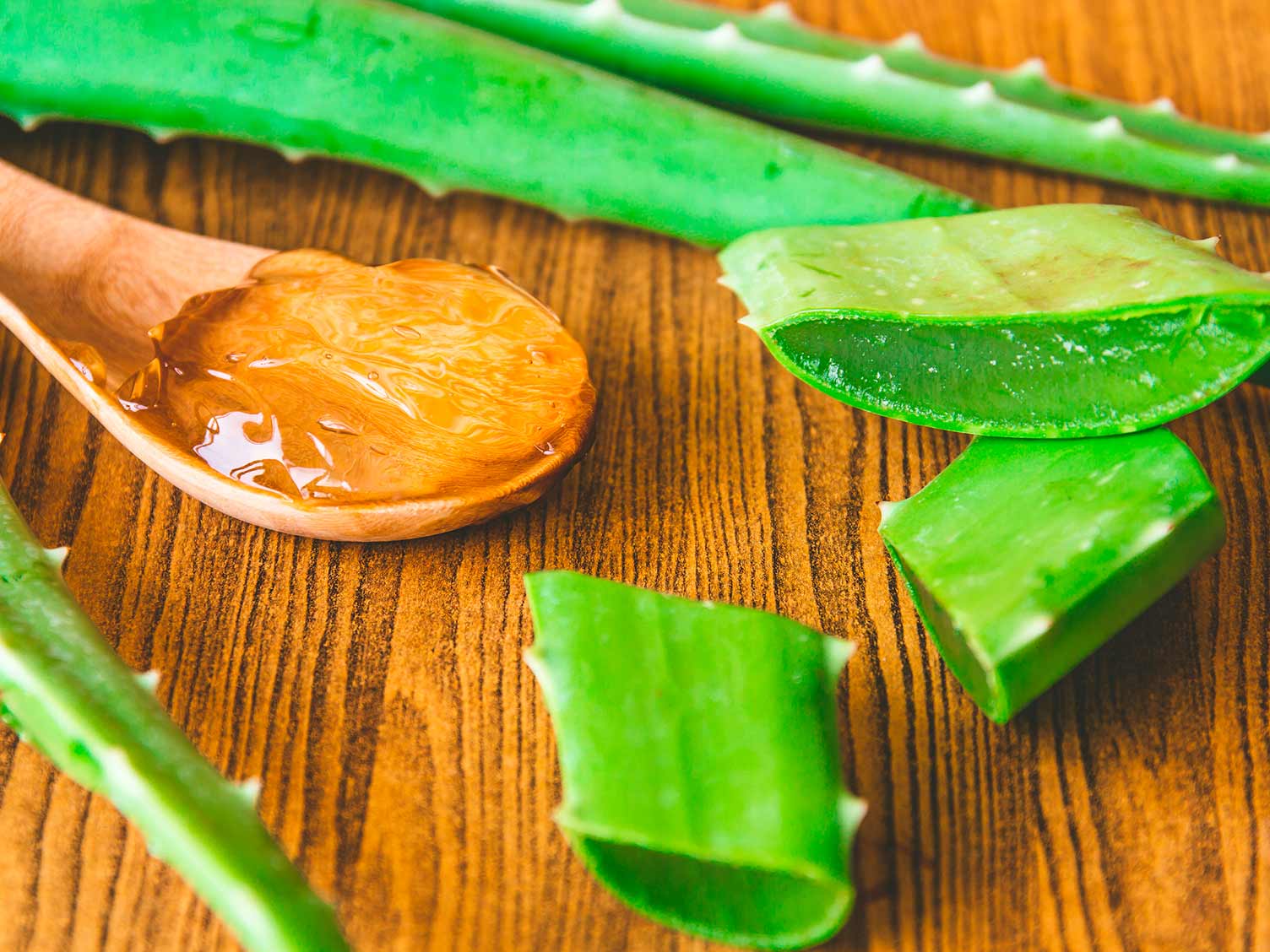 Aloe Vera Care | Love The Garden