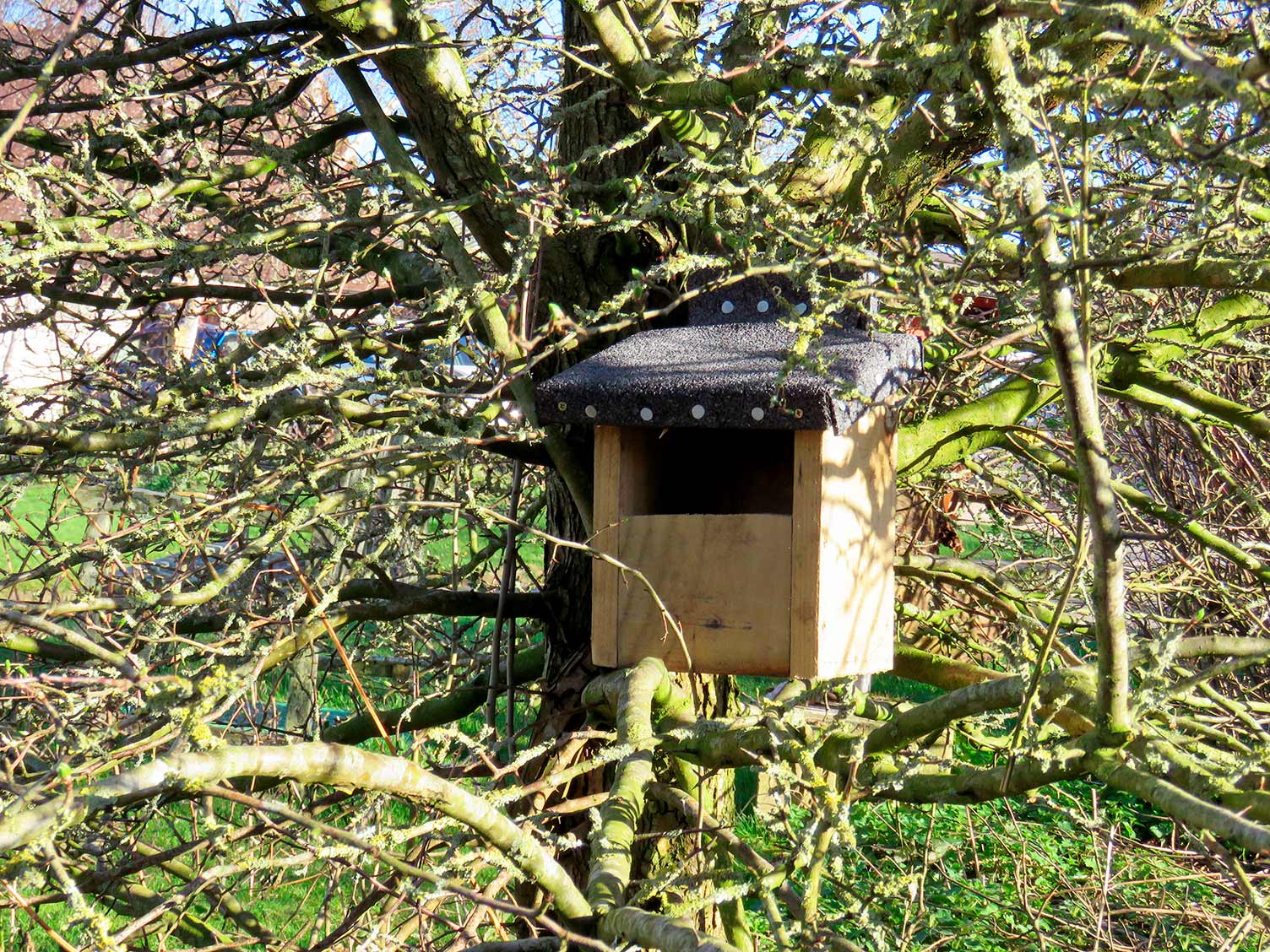 UK_bird-box-open-fronted.jpg Open front bird box
