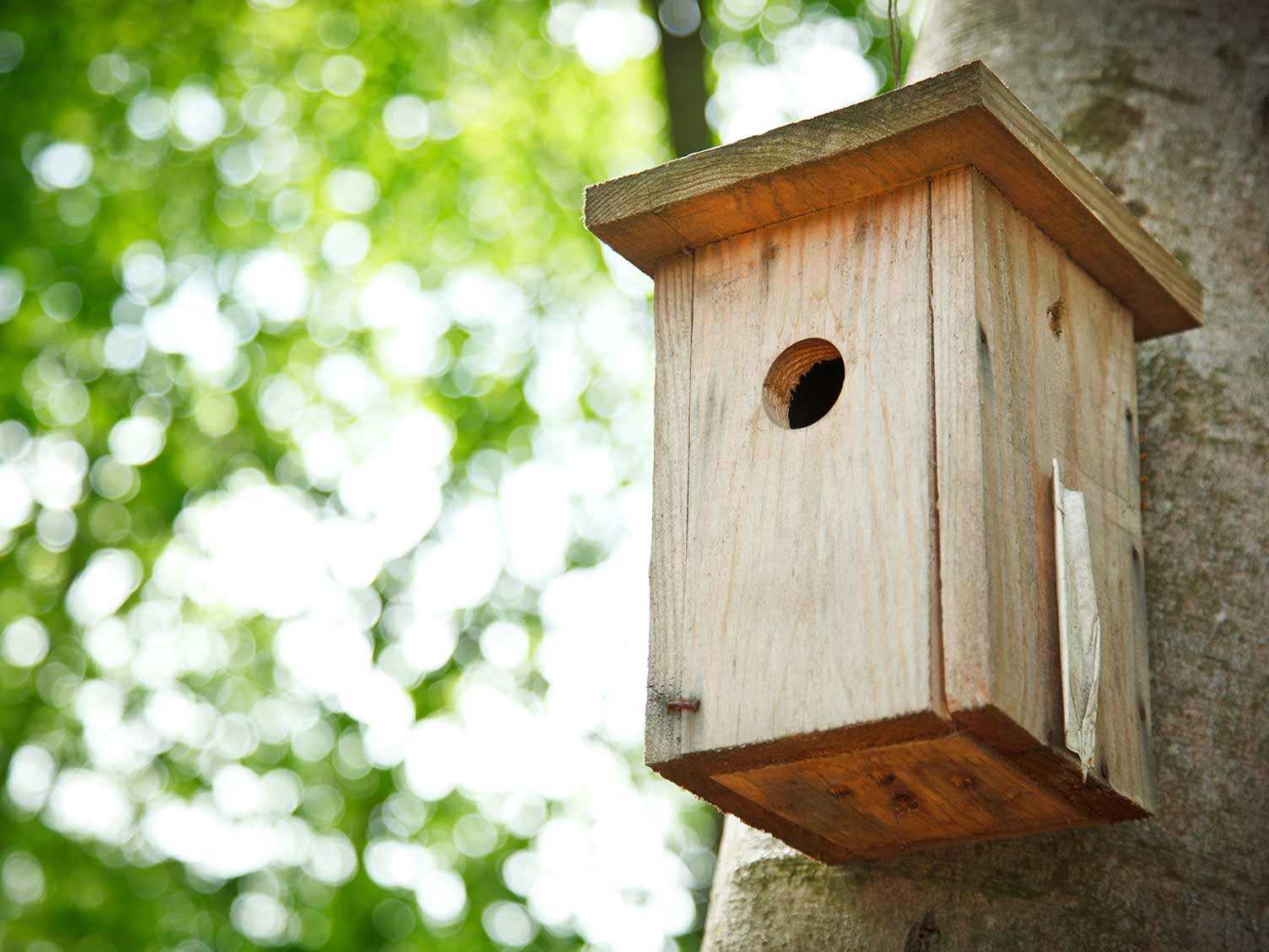 Deluxe Wooden Nesting Wild Bird Box With Waterproof Aluminium Roof Hanging Loop 