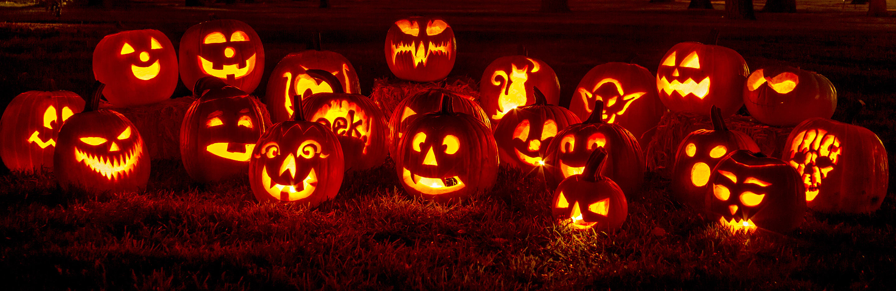 Citrouille Pour Halloween?