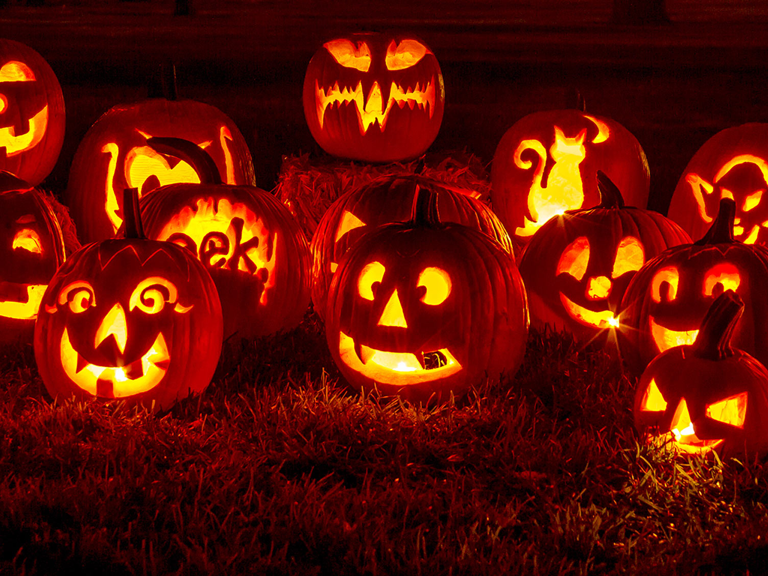 Faire Citrouille Halloween : La Pause Jardin, crÃ©er un citrouille d' halloween