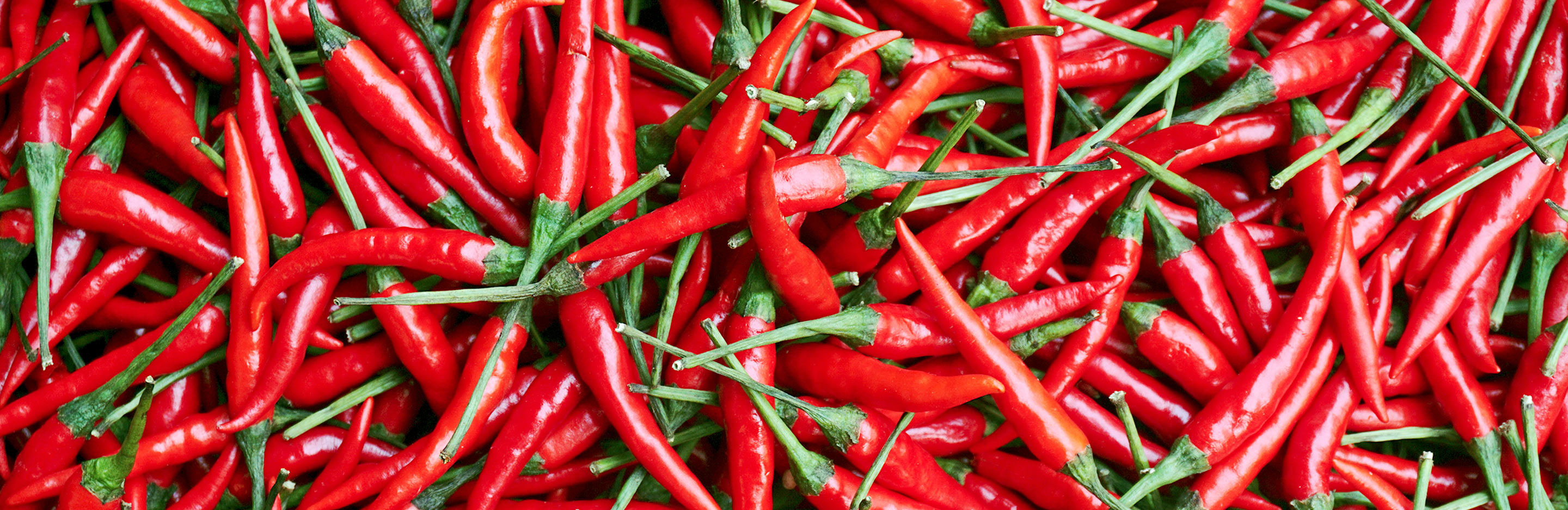 Chillis hotter than the sun