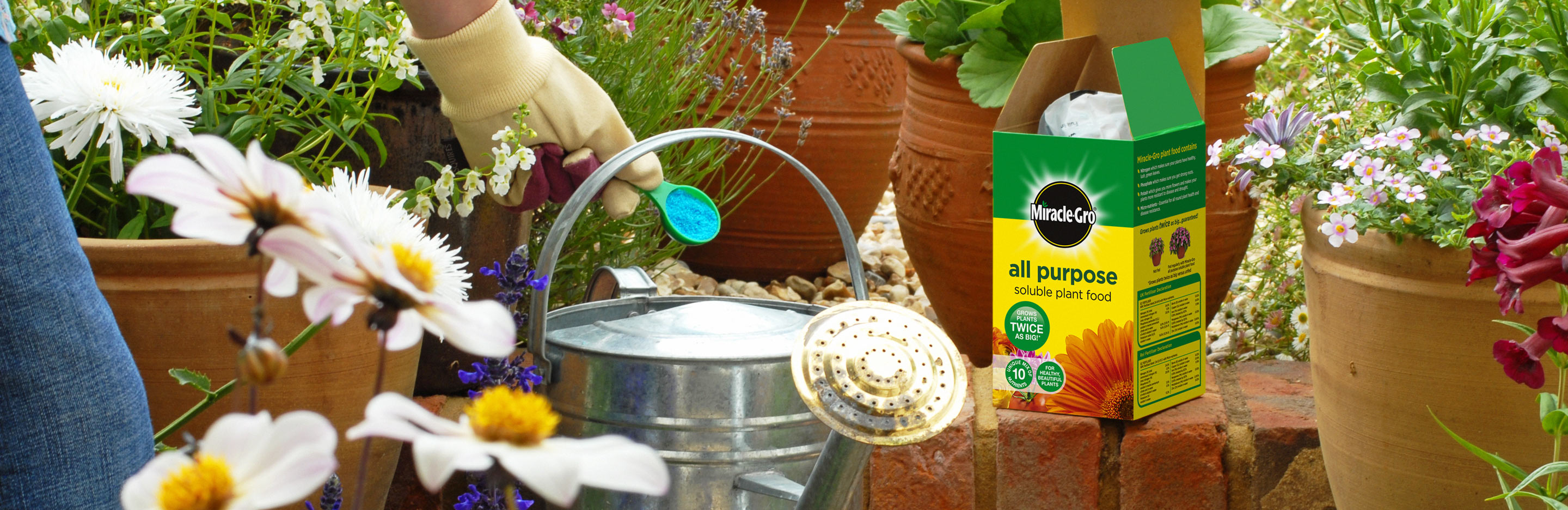 A metal watering can with Miracle-Gro All Purpose Soluble Plant Food being poured into it