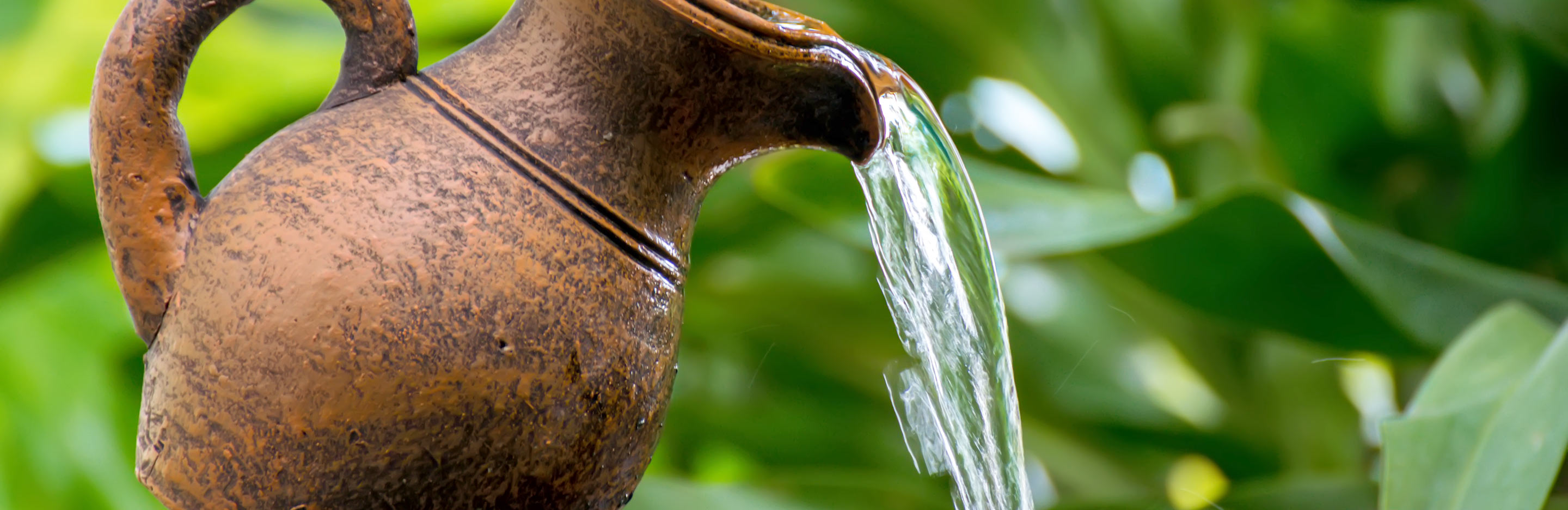 16 inspiring DIY water garden ideas