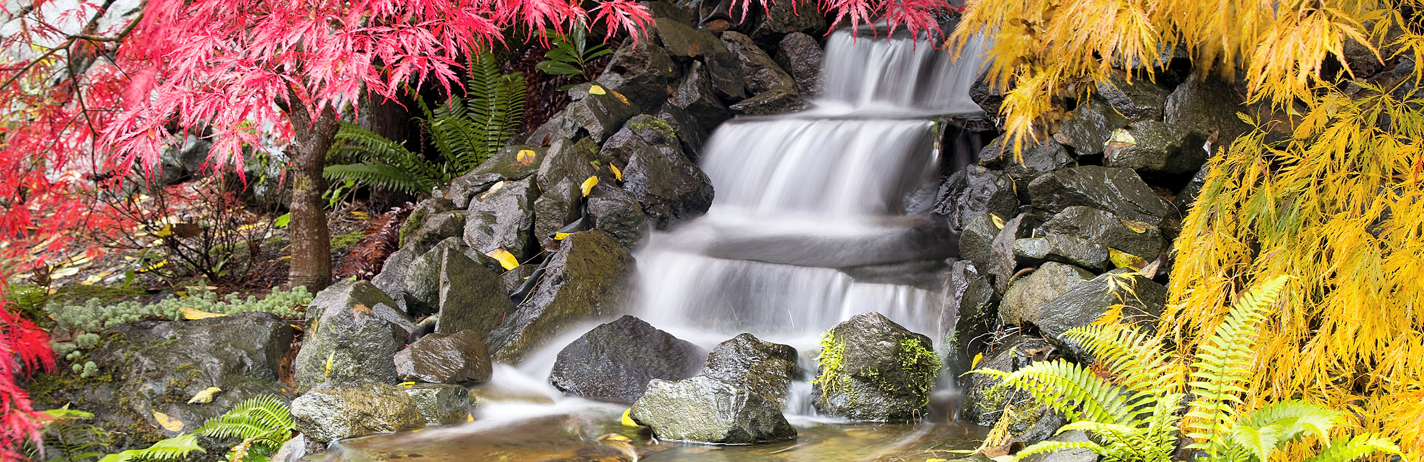 15 garden landscaping ideas