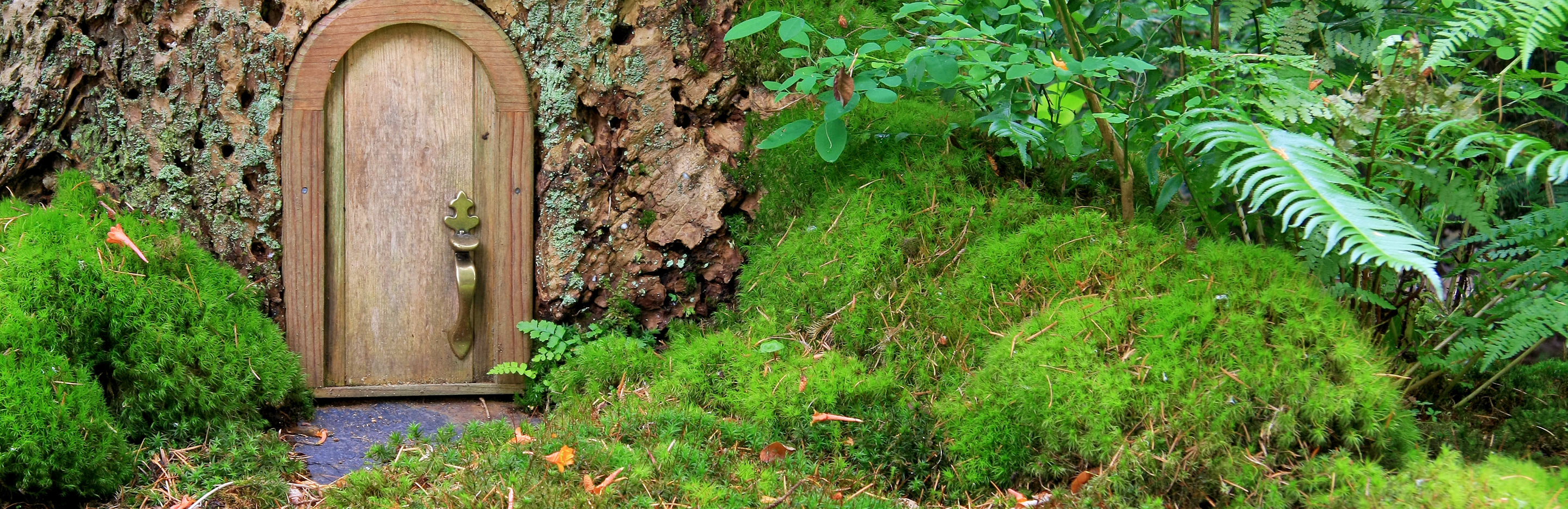 18 beautiful fairytale garden ideas