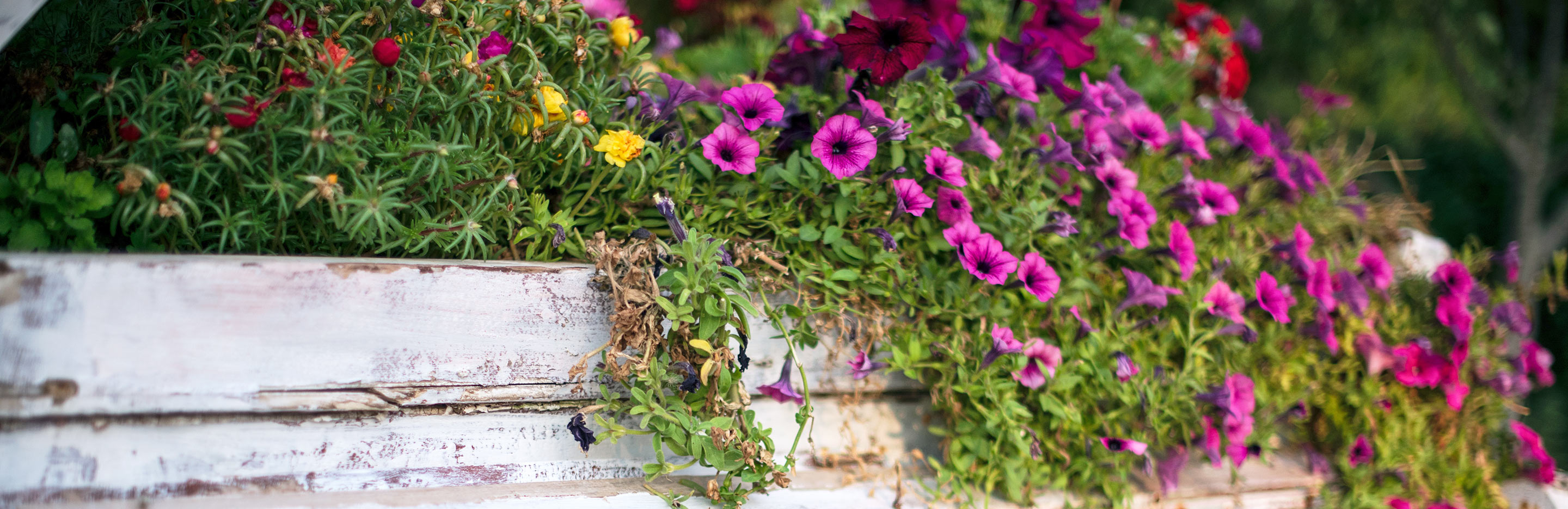 25 inspiring DIY garden ideas