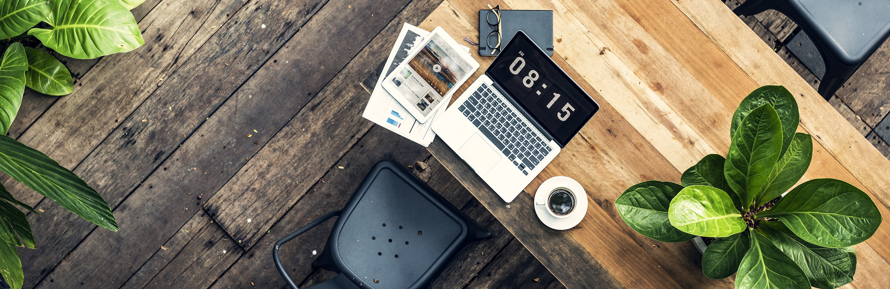 Les Meilleurs Logiciels Et Applications Pour Jardiner