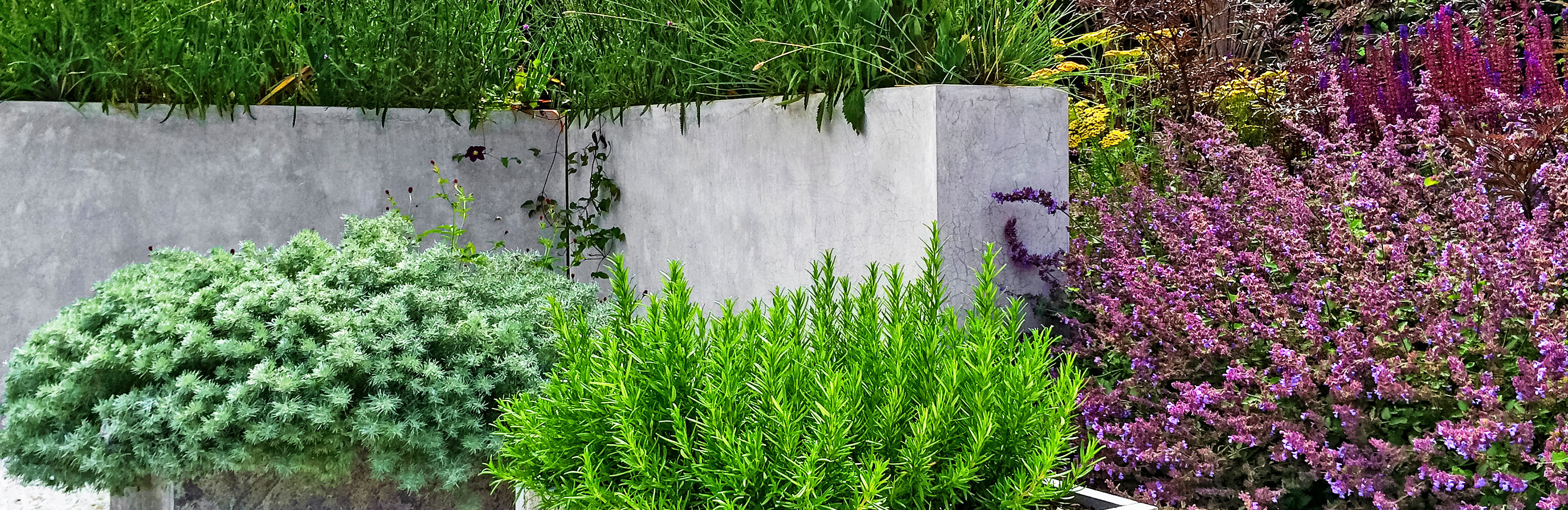 Concrete in your garden doesn’t have to be ugly