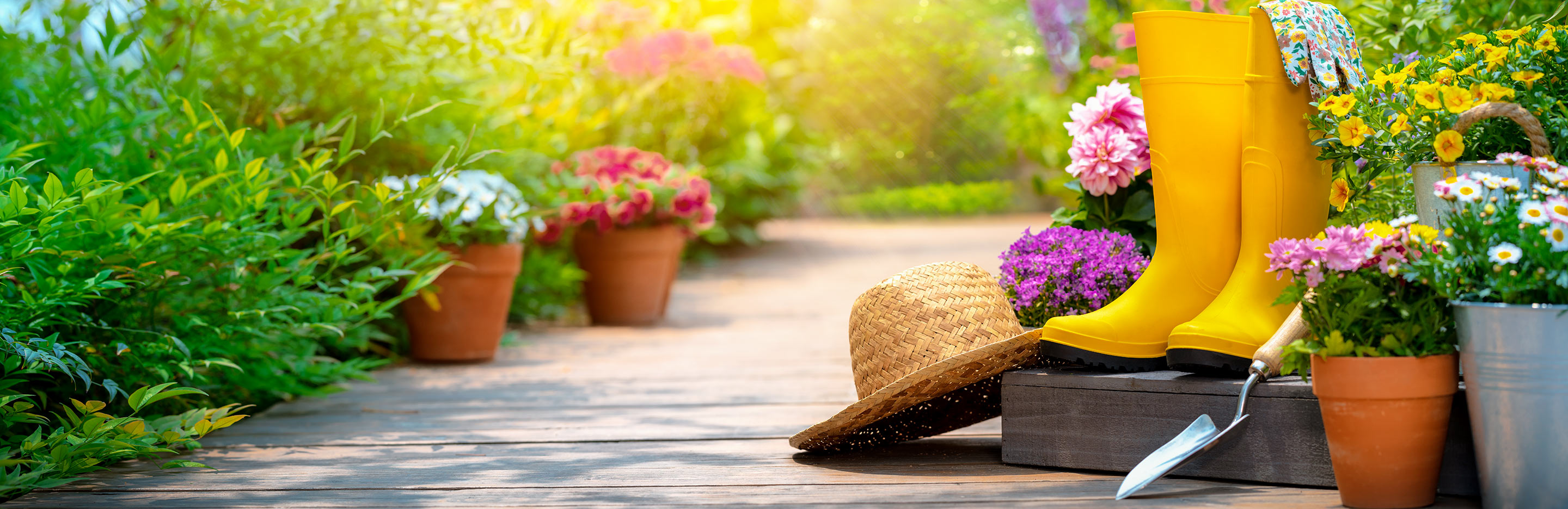 Getting your garden ready for summer