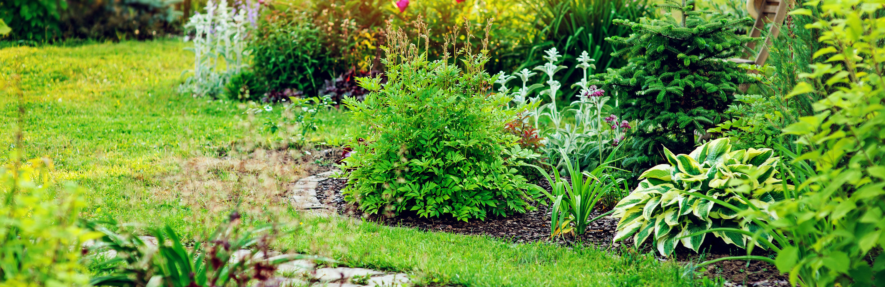 How to create an award winning garden