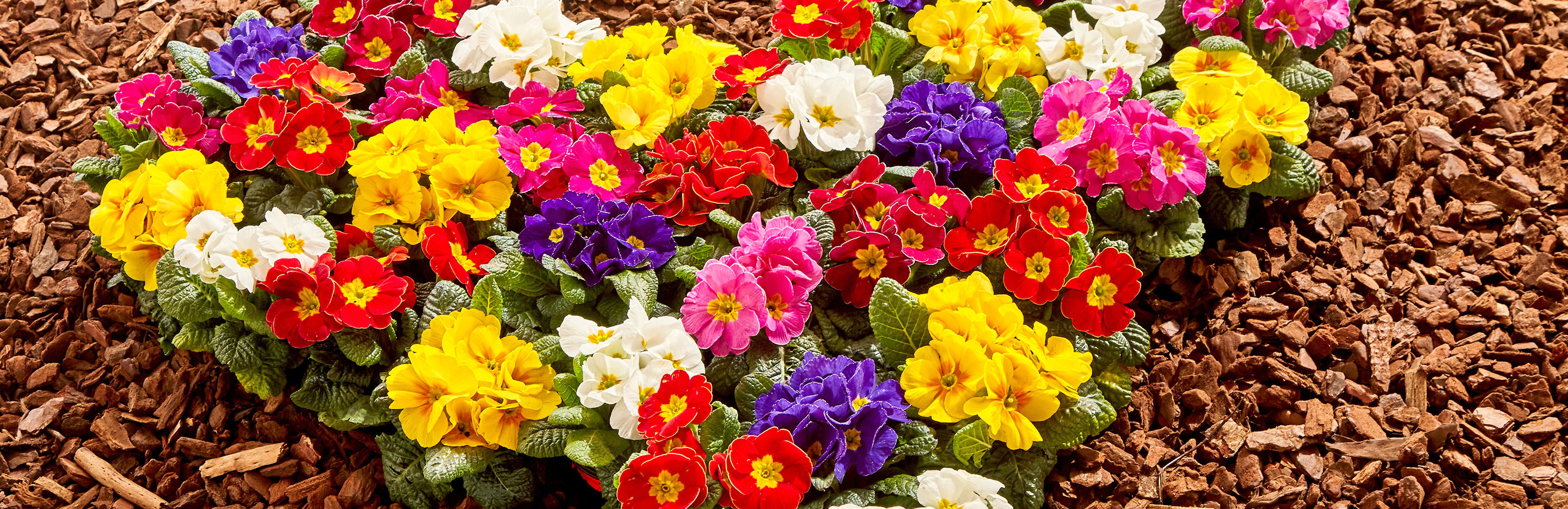 How to create a contemporary and low maintenance front garden